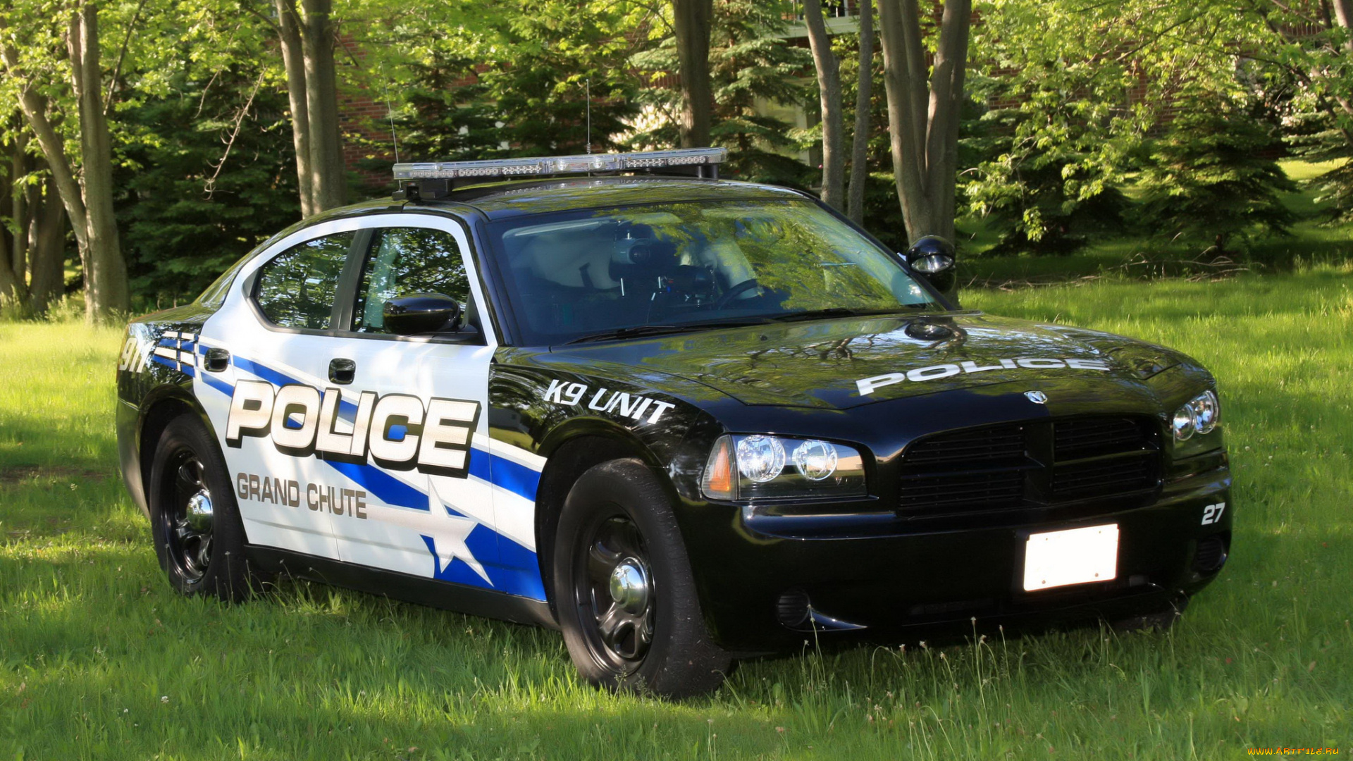 автомобили, полиция