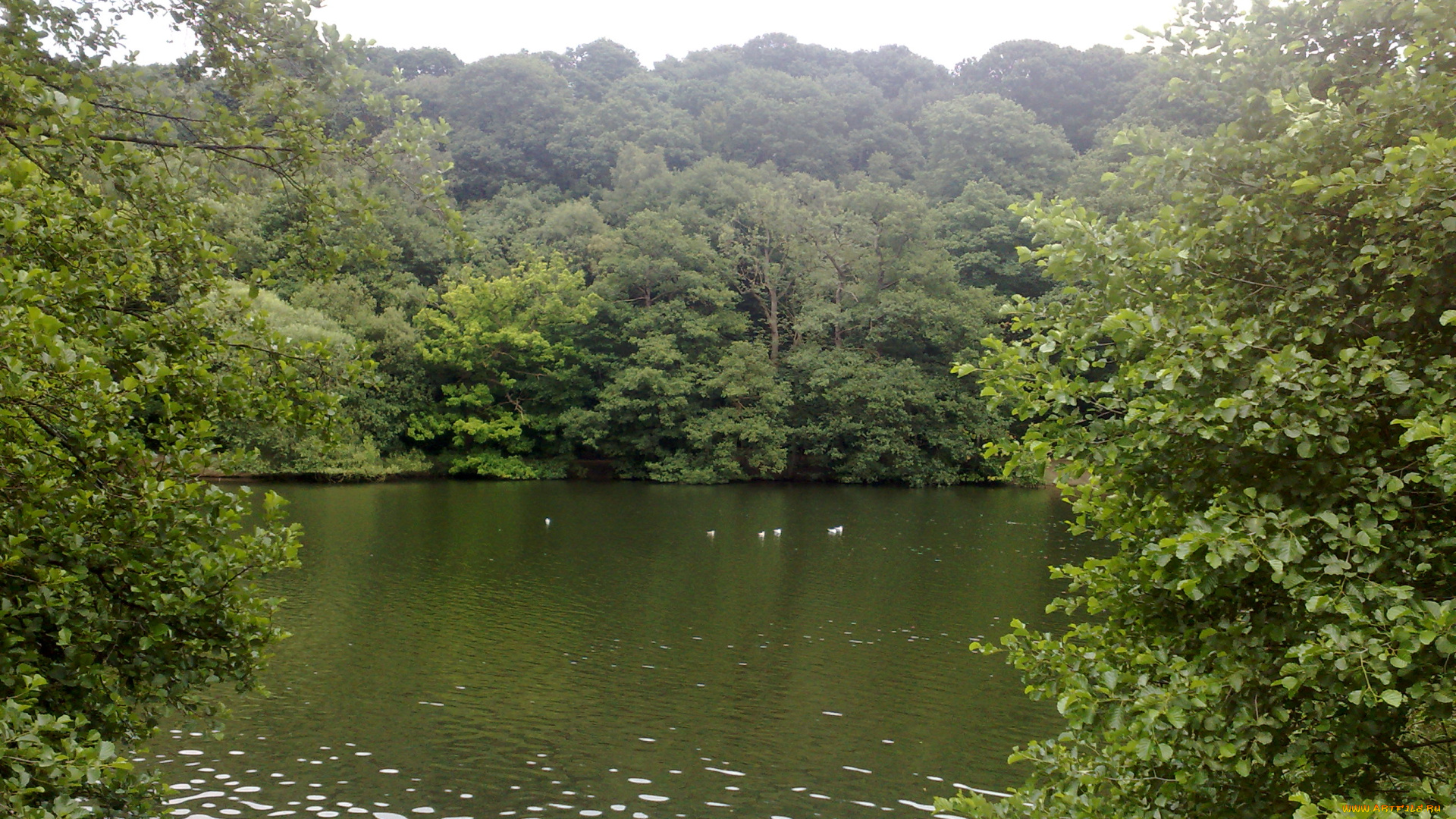 природа, реки, озера