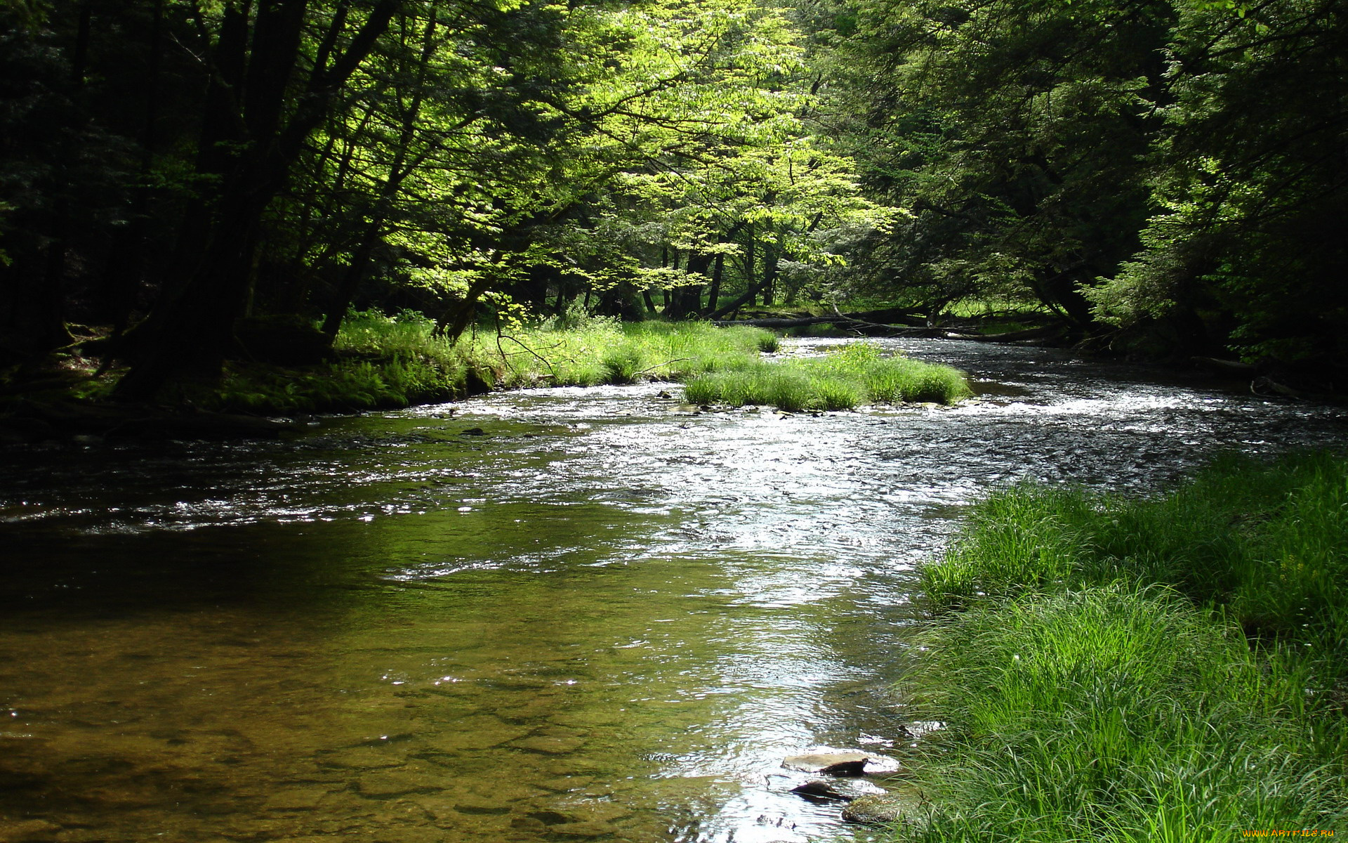 природа, реки, озера