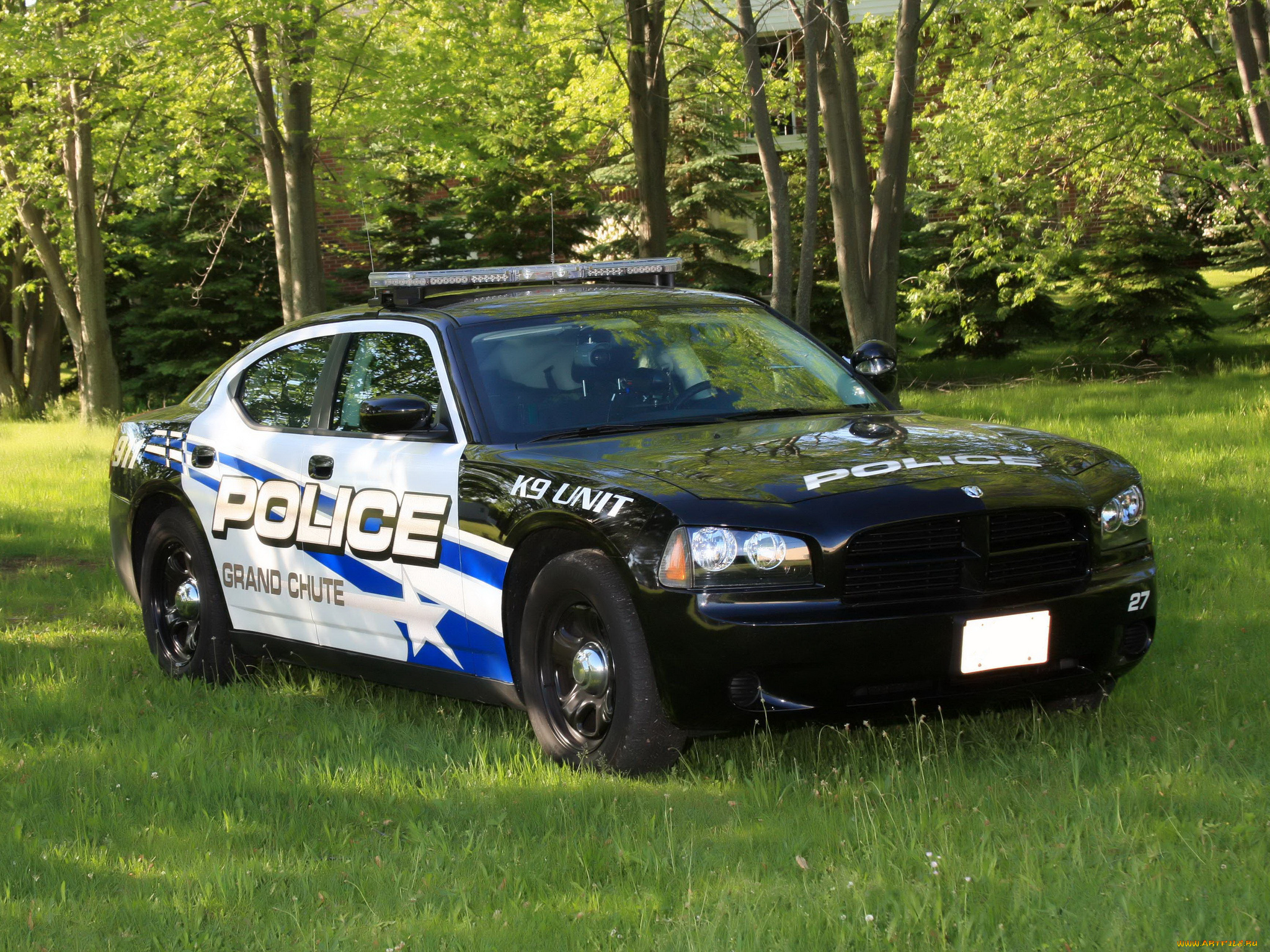 автомобили, полиция