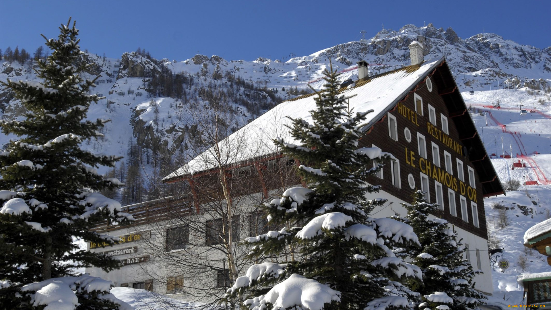 города, здания, дома, ель, шале