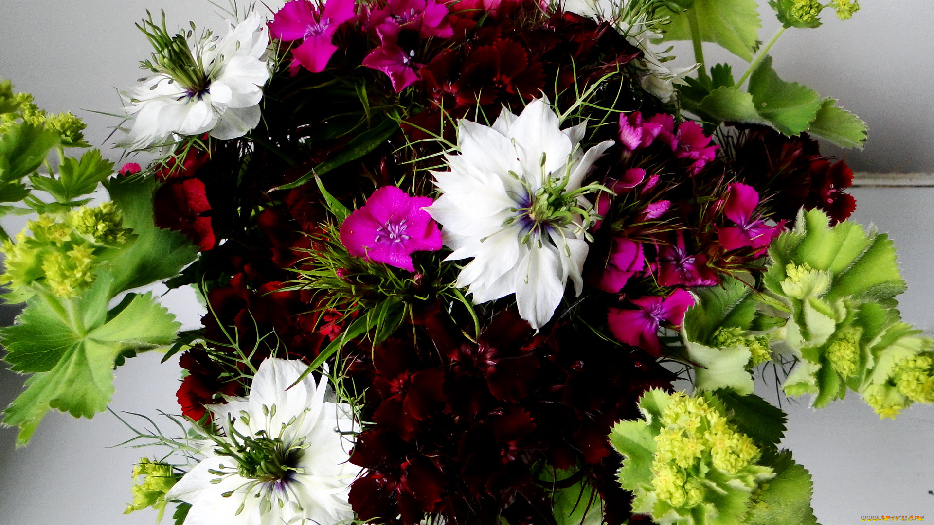 цветы, букеты, композиции, гвоздики, букет