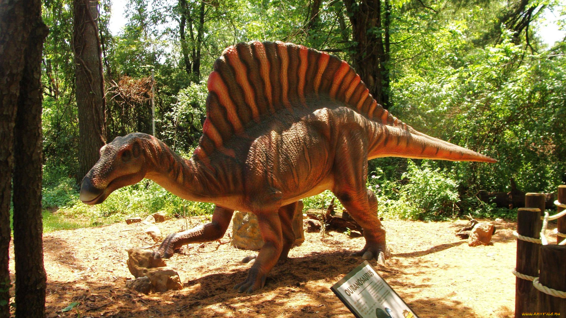 разное, рельефы, статуи, музейные, экспонаты, дракон