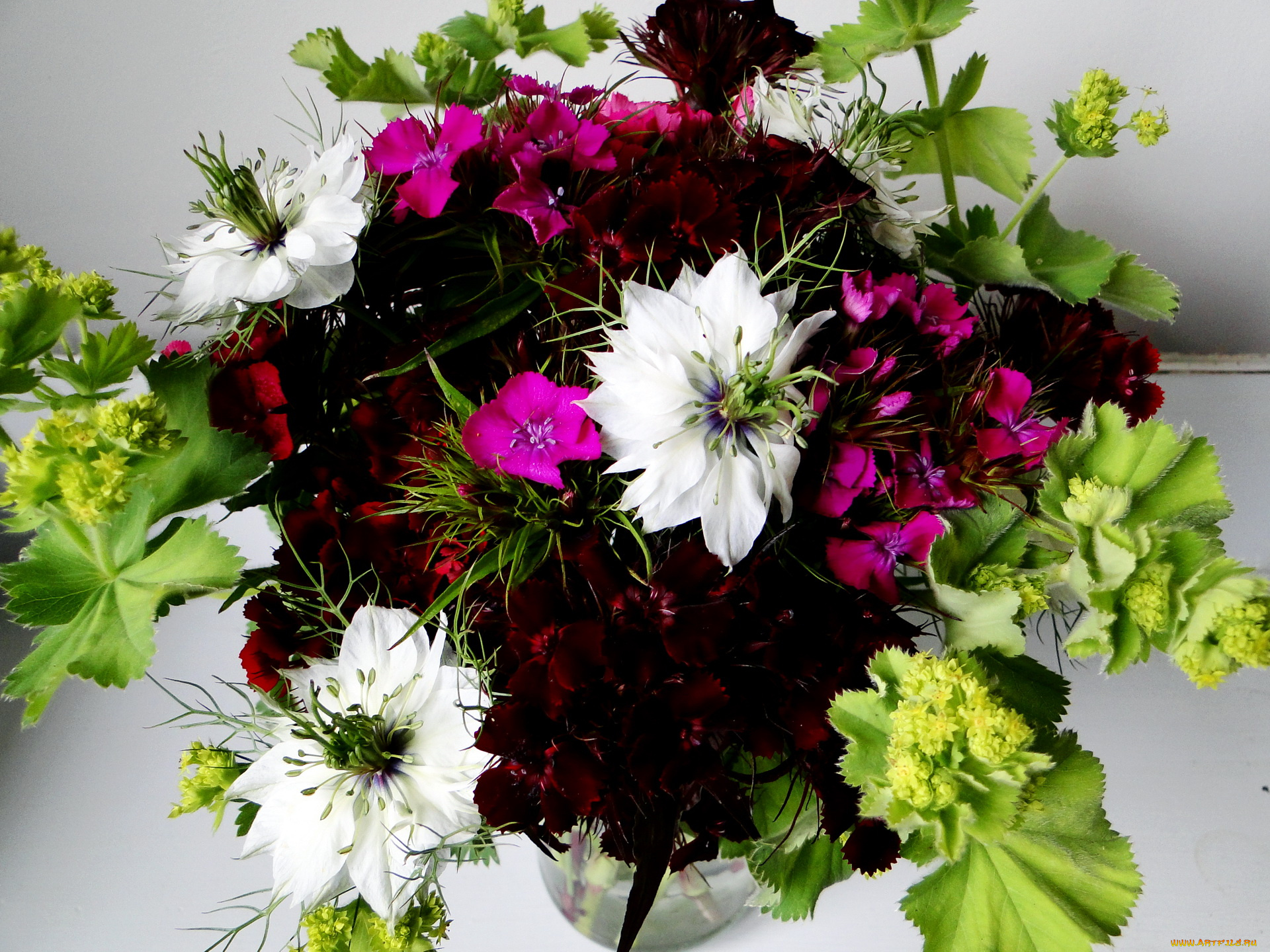 цветы, букеты, композиции, гвоздики, букет