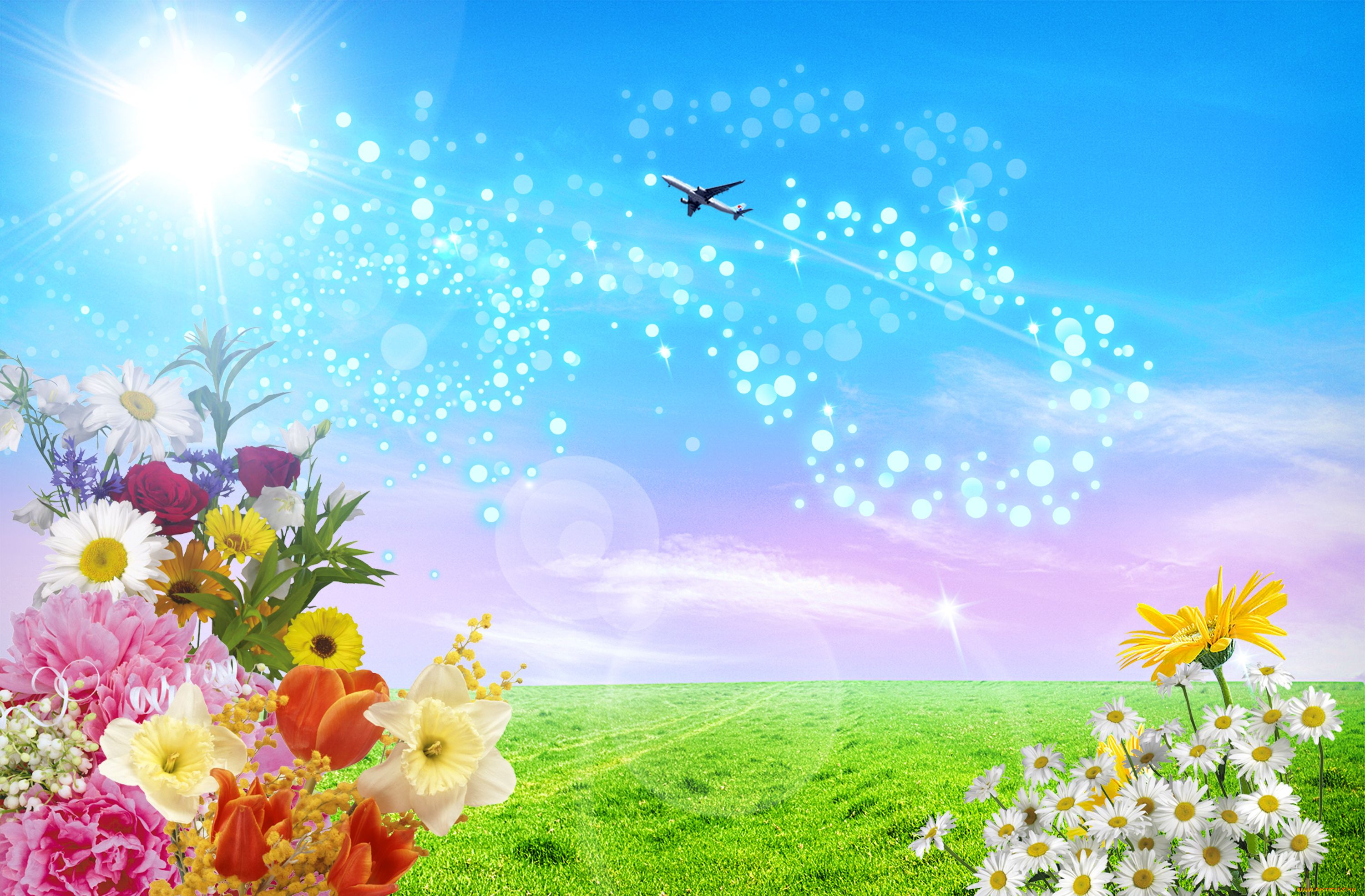 разное, компьютерный, дизайн, цветы, самолёт