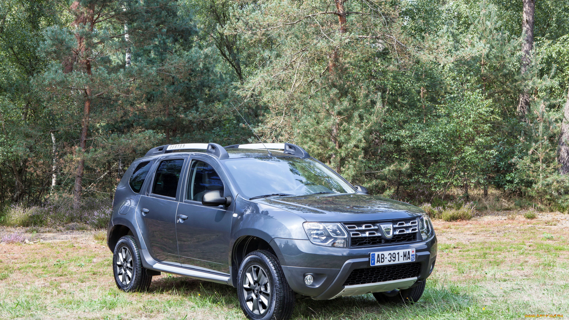 2013, dacia, duster, автомобили, дорожка, лес