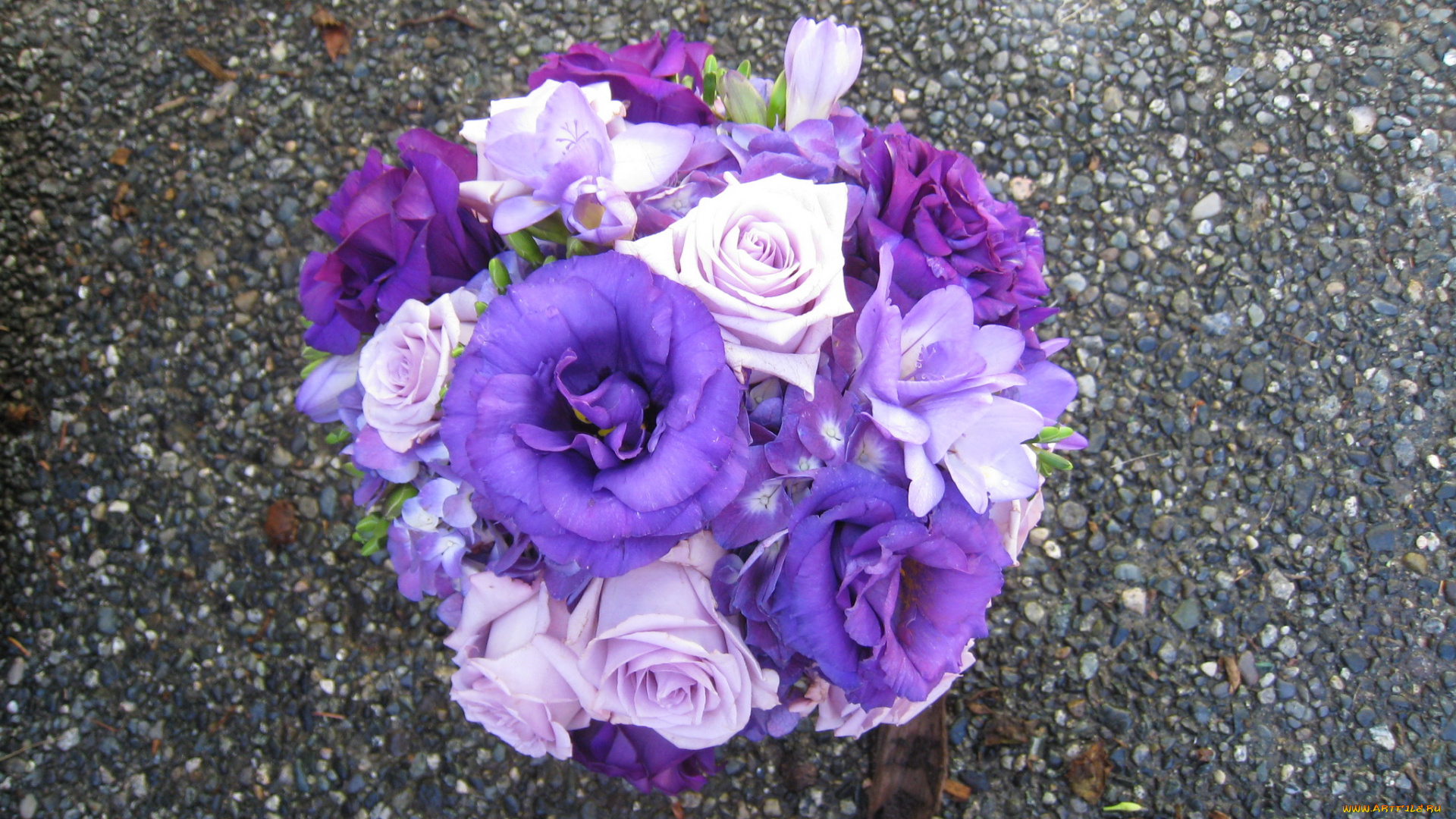 цветы, букеты, композиции, альстромерии, анемоны, розы, букет