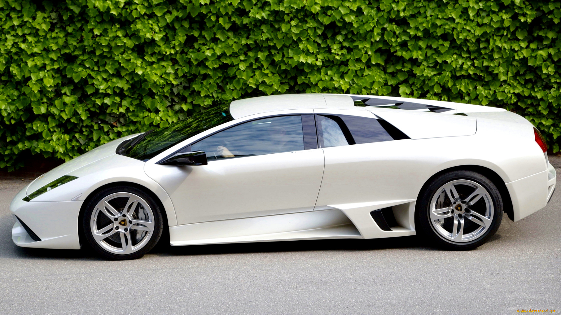 lamborghini, murcielago, автомобили, ktm, класс-люкс, спортивные, италия, automobili, holding, s, p, a