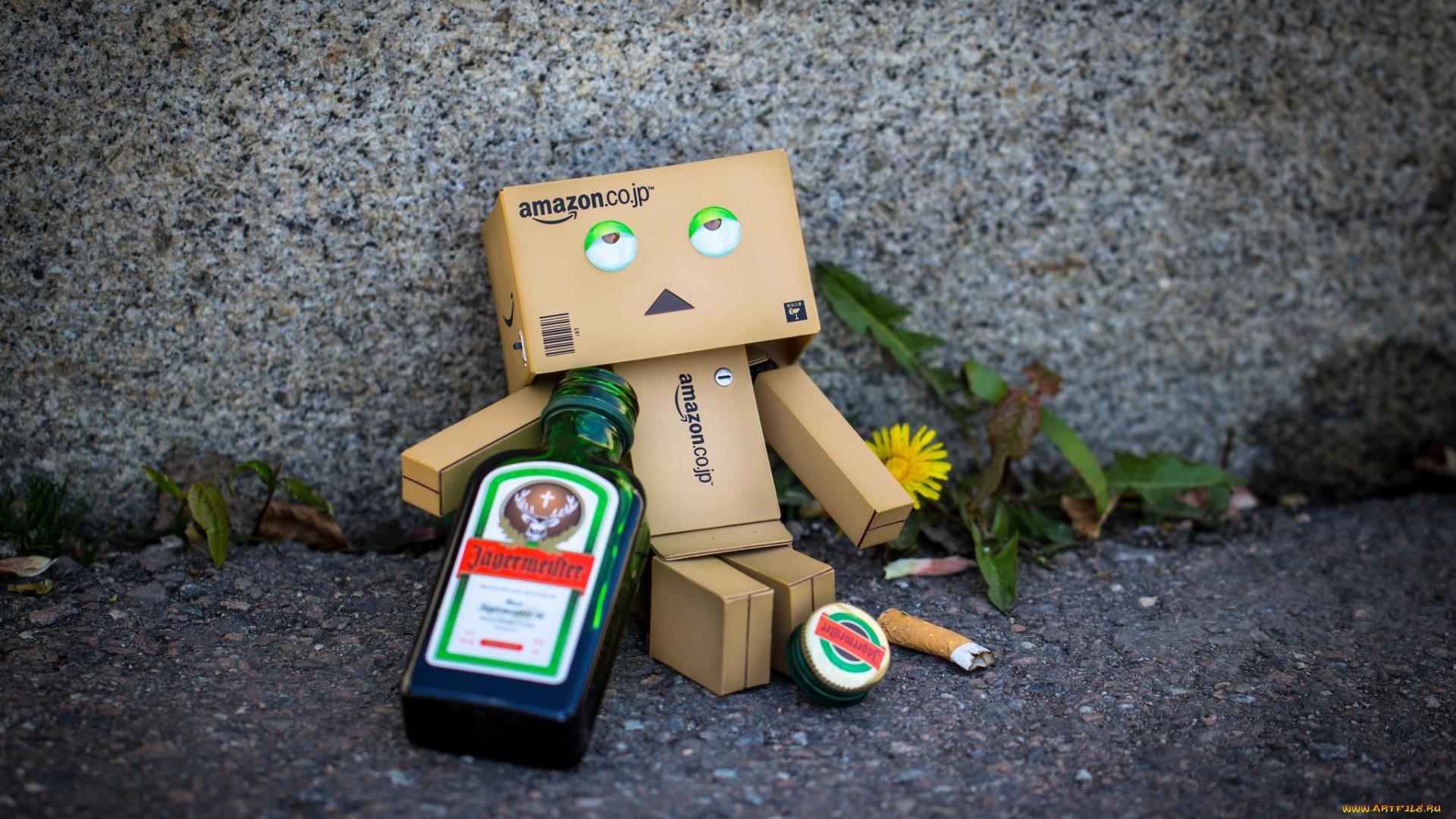 разное, данбо, danboard, торчок