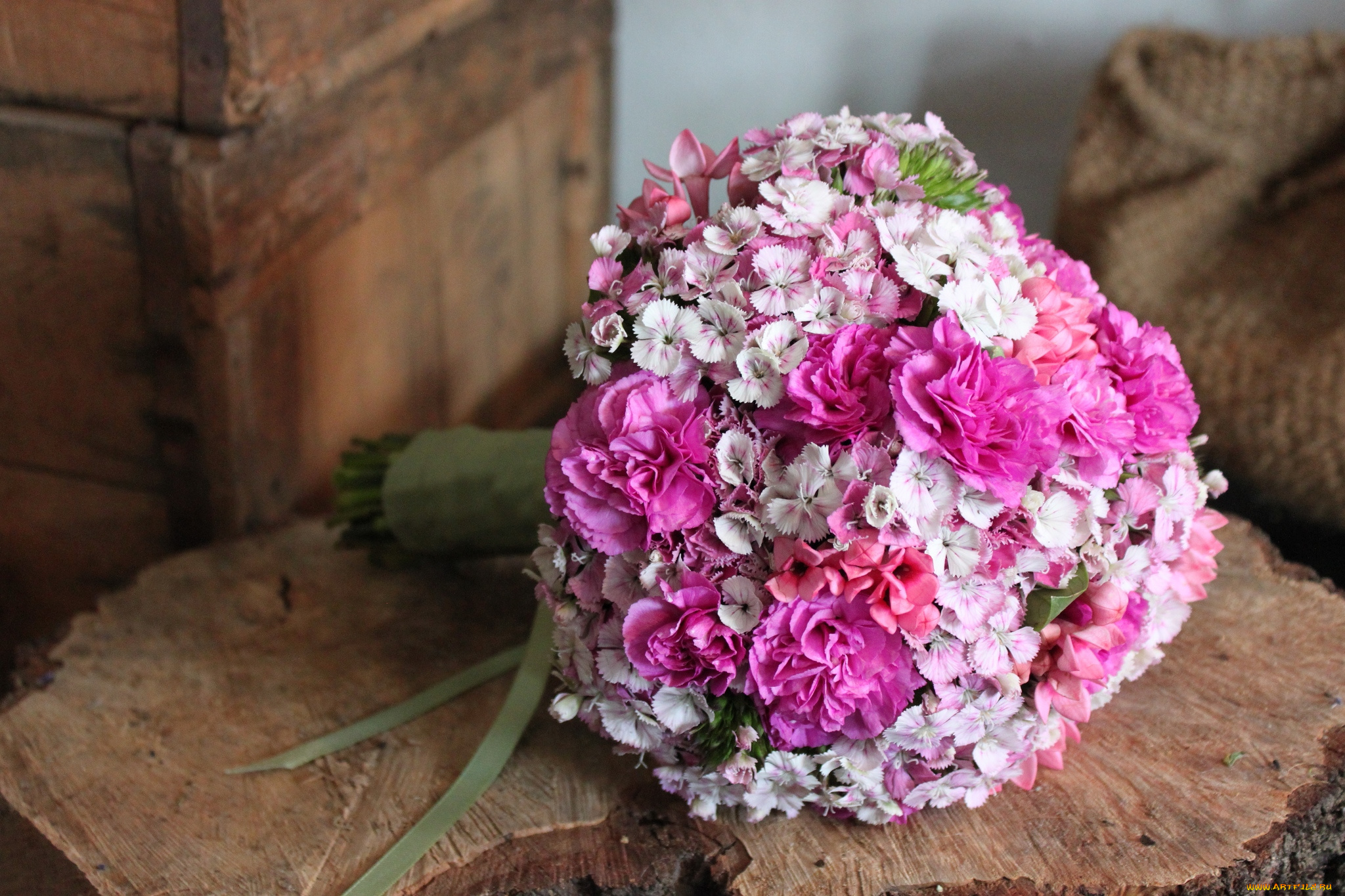 цветы, гвоздики, свадебный