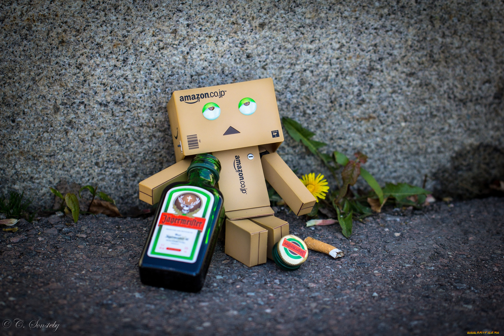 разное, данбо, danboard, торчок