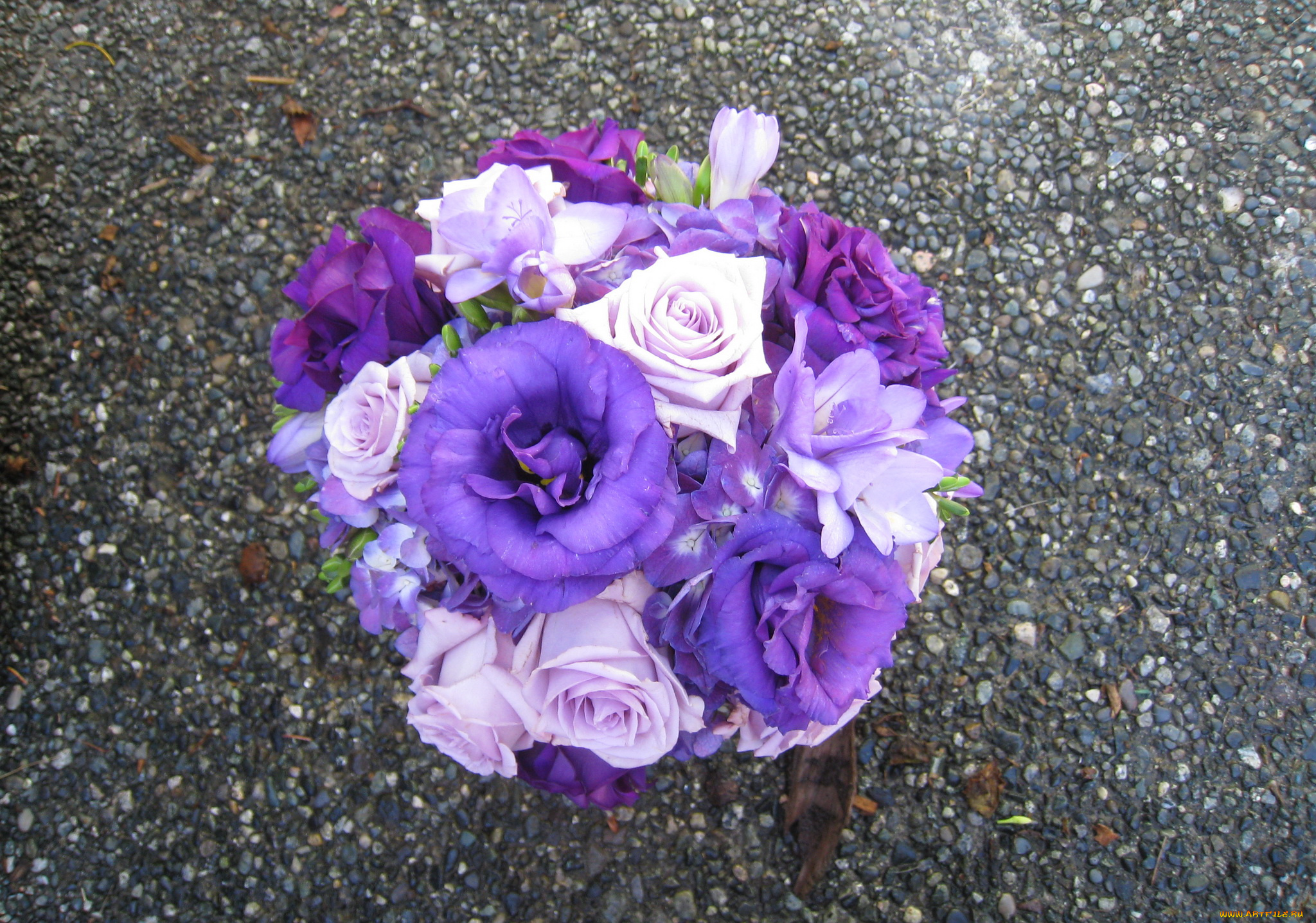 цветы, букеты, композиции, альстромерии, анемоны, розы, букет