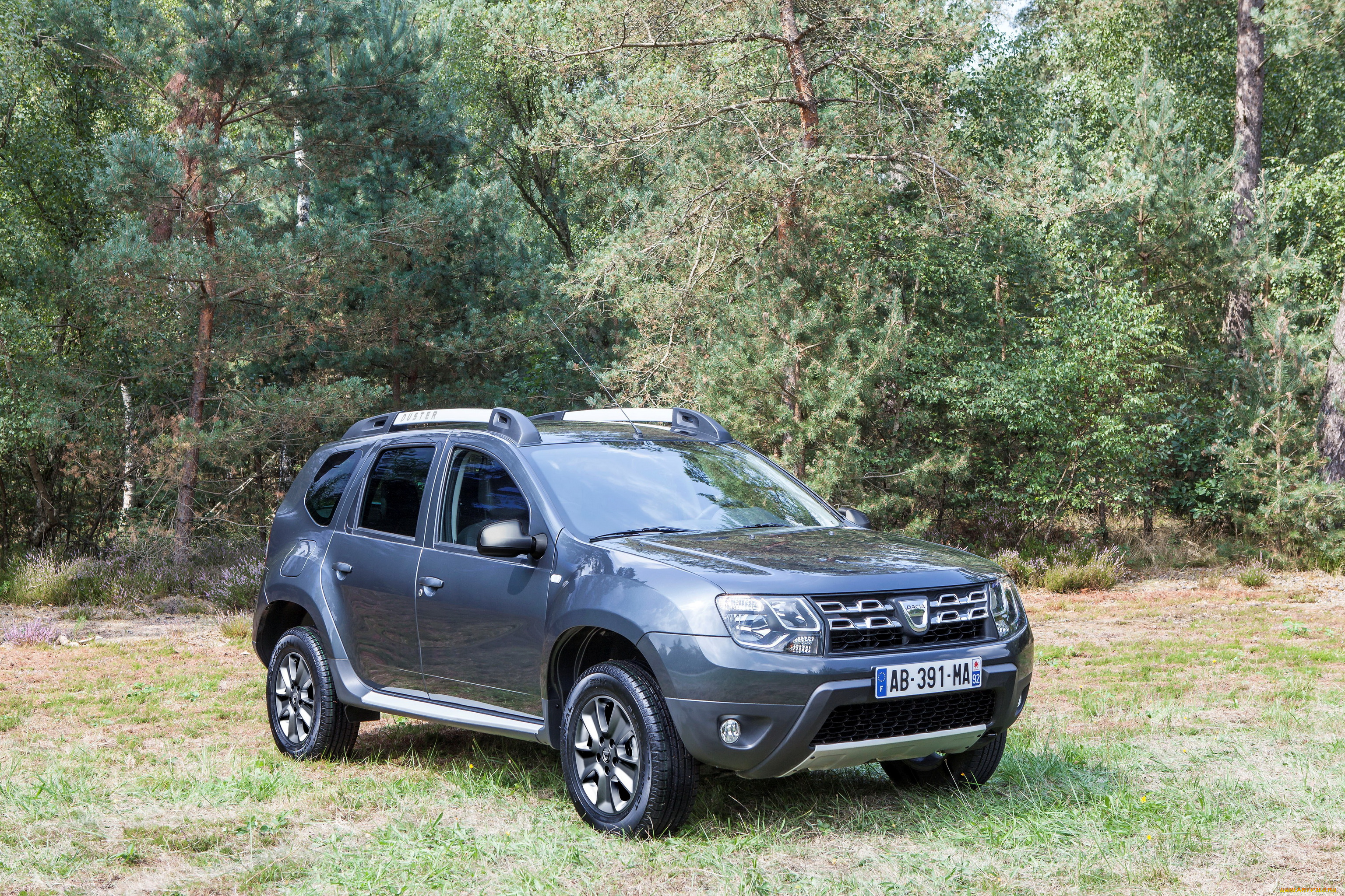 2013, dacia, duster, автомобили, дорожка, лес