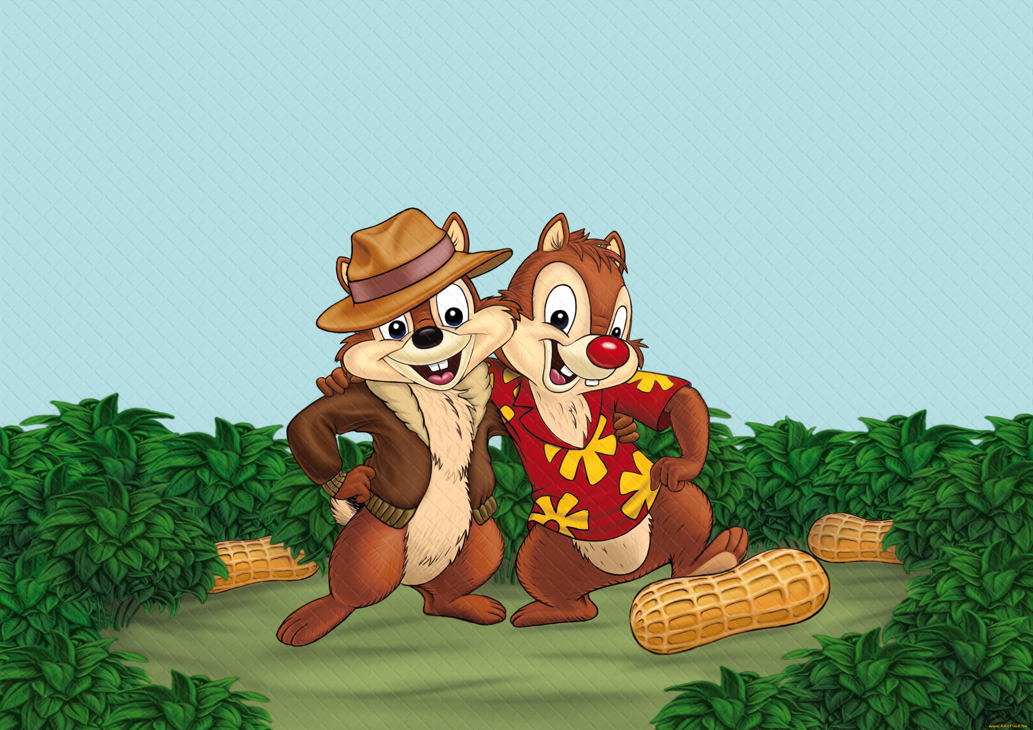 chip, `n, dale, rescue, rangers, мультфильмы, чип, и, дейл