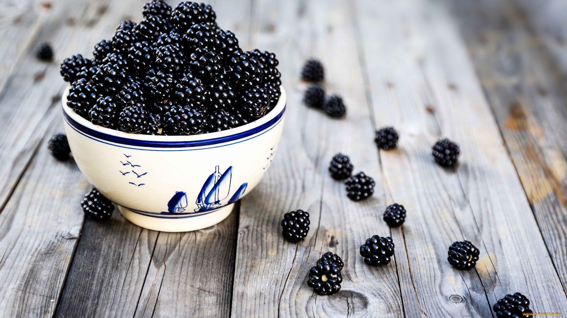 еда, ежевика, миска