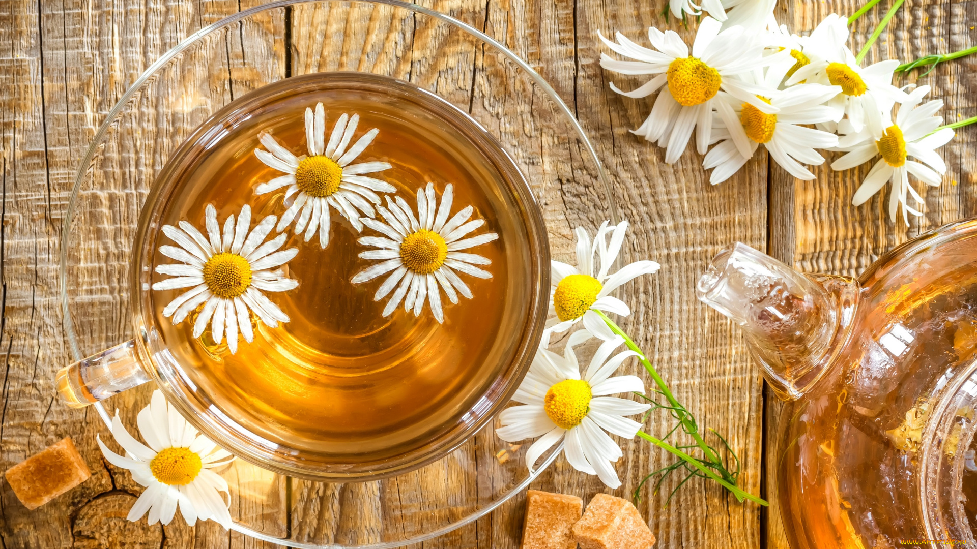 еда, напитки, , Чай, tea, блюдце, ромашка, cup, цветок, daisy, flower, drink, напиток, чашка, чай