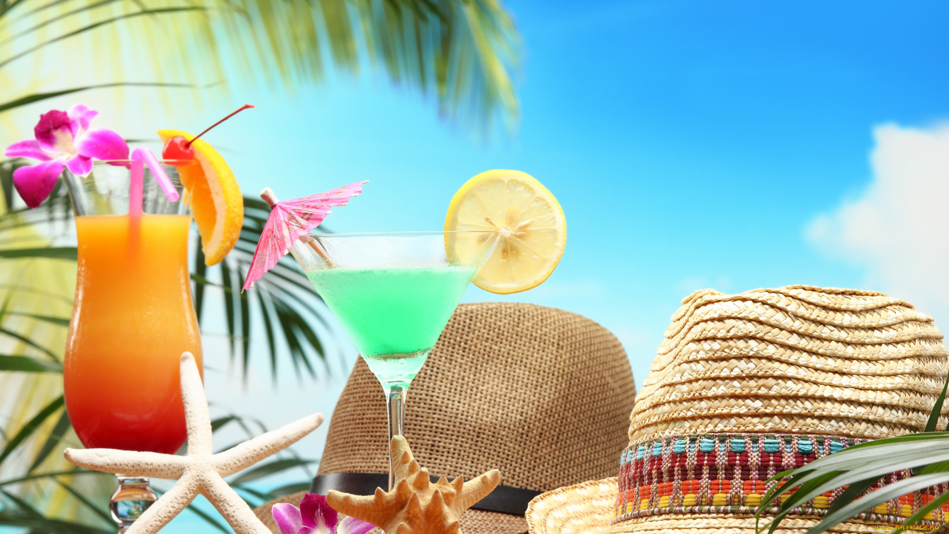 еда, напитки, , коктейль, ракушки, шляпы, коктейли, цветок