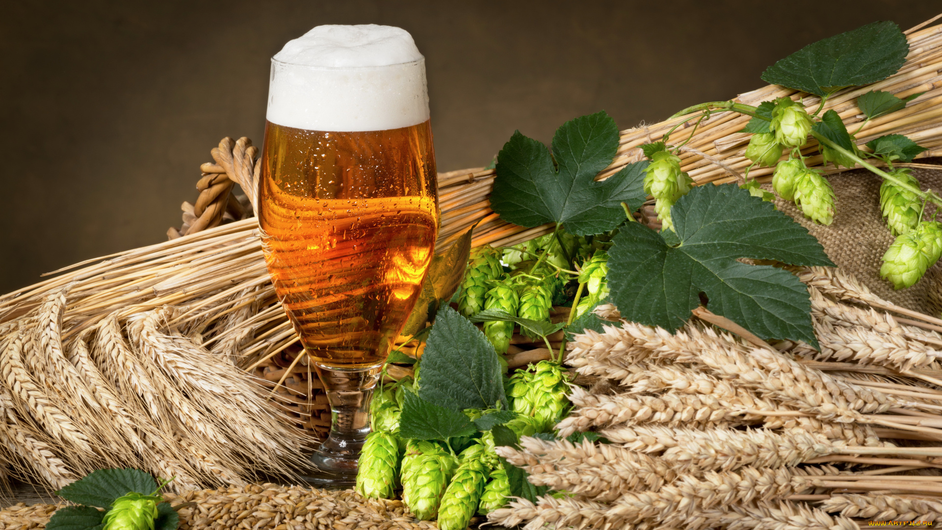 еда, напитки, , пиво, хмель, напиток, пиво, бокал