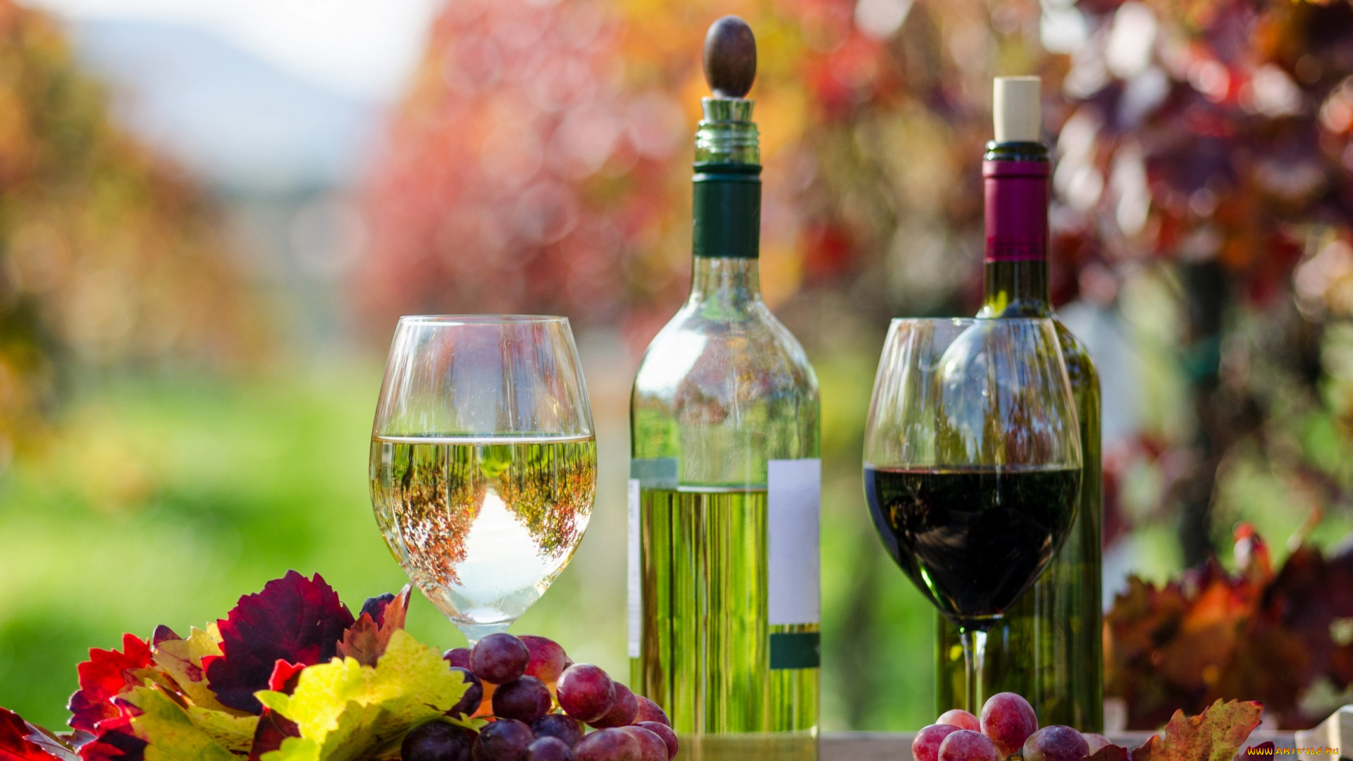 еда, напитки, , вино, вино, бокал, виноград, виноградники