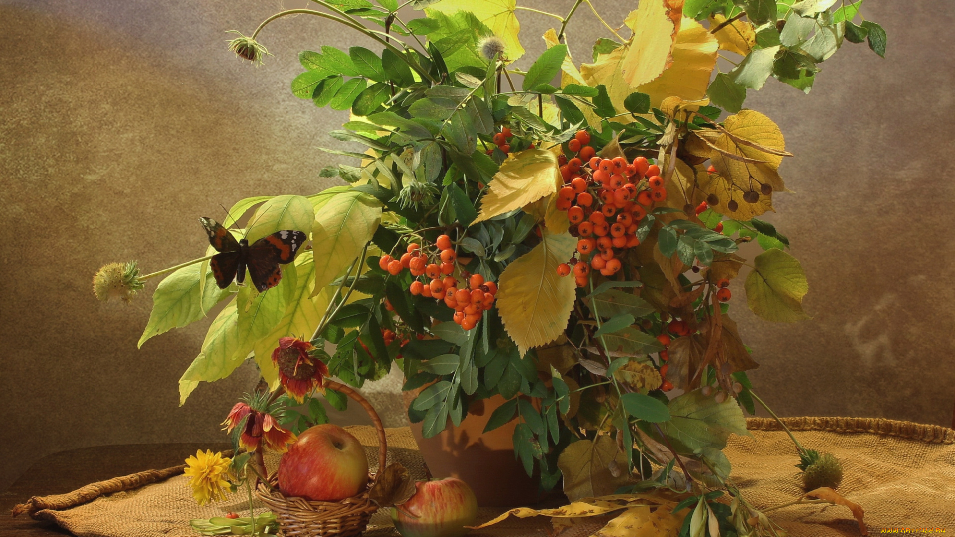еда, натюрморт, яблоки, рябина, осень