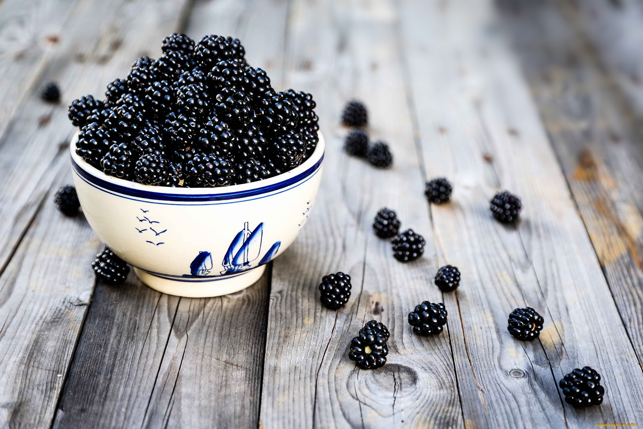 еда, ежевика, миска