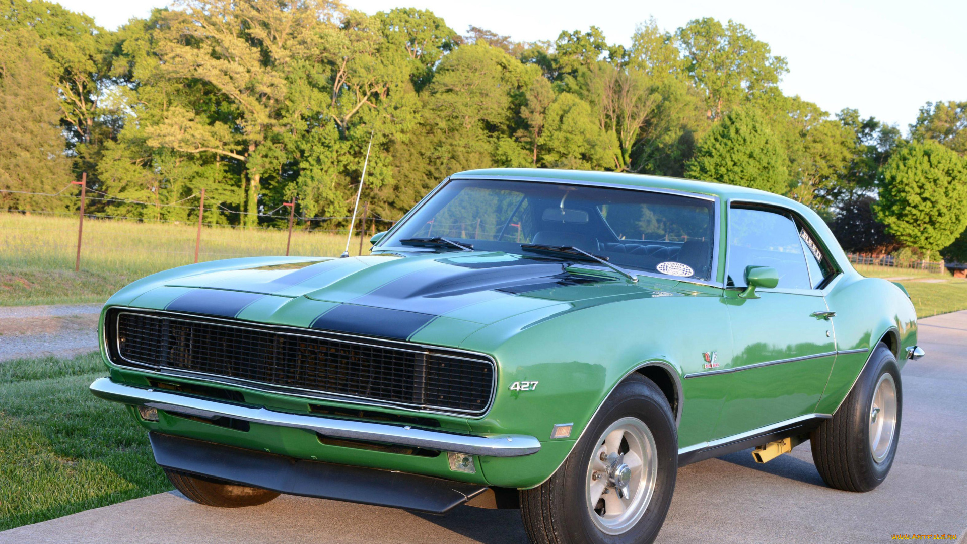 автомобили, camaro