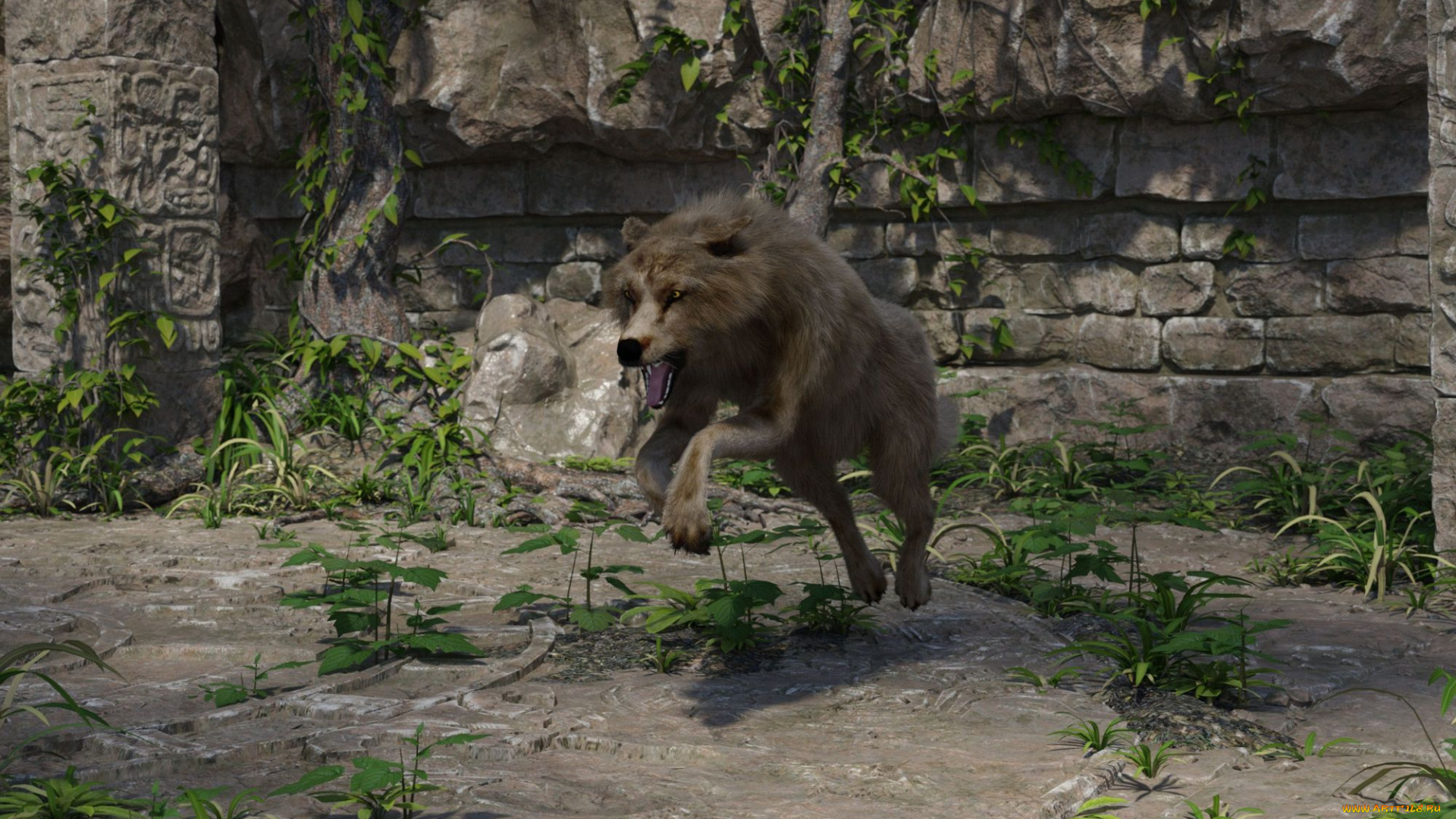 3д, графика, животные, , animals, фон, волк