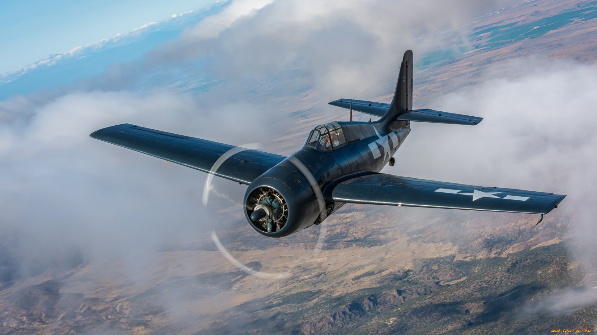 авиация, боевые, самолёты, одноместный, истребитель-бомбардировщик, палубный, wildcat