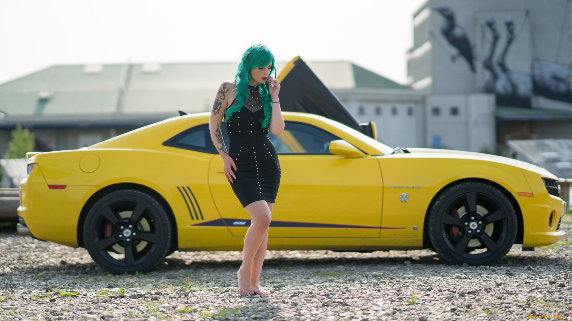 автомобили, -авто, с, девушками, цвет, лицо, автомобиль, волосы, девушка, платье