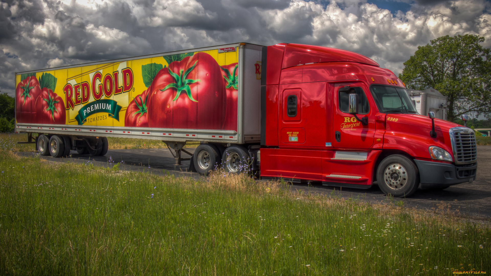 автомобили, freightliner, грузовик