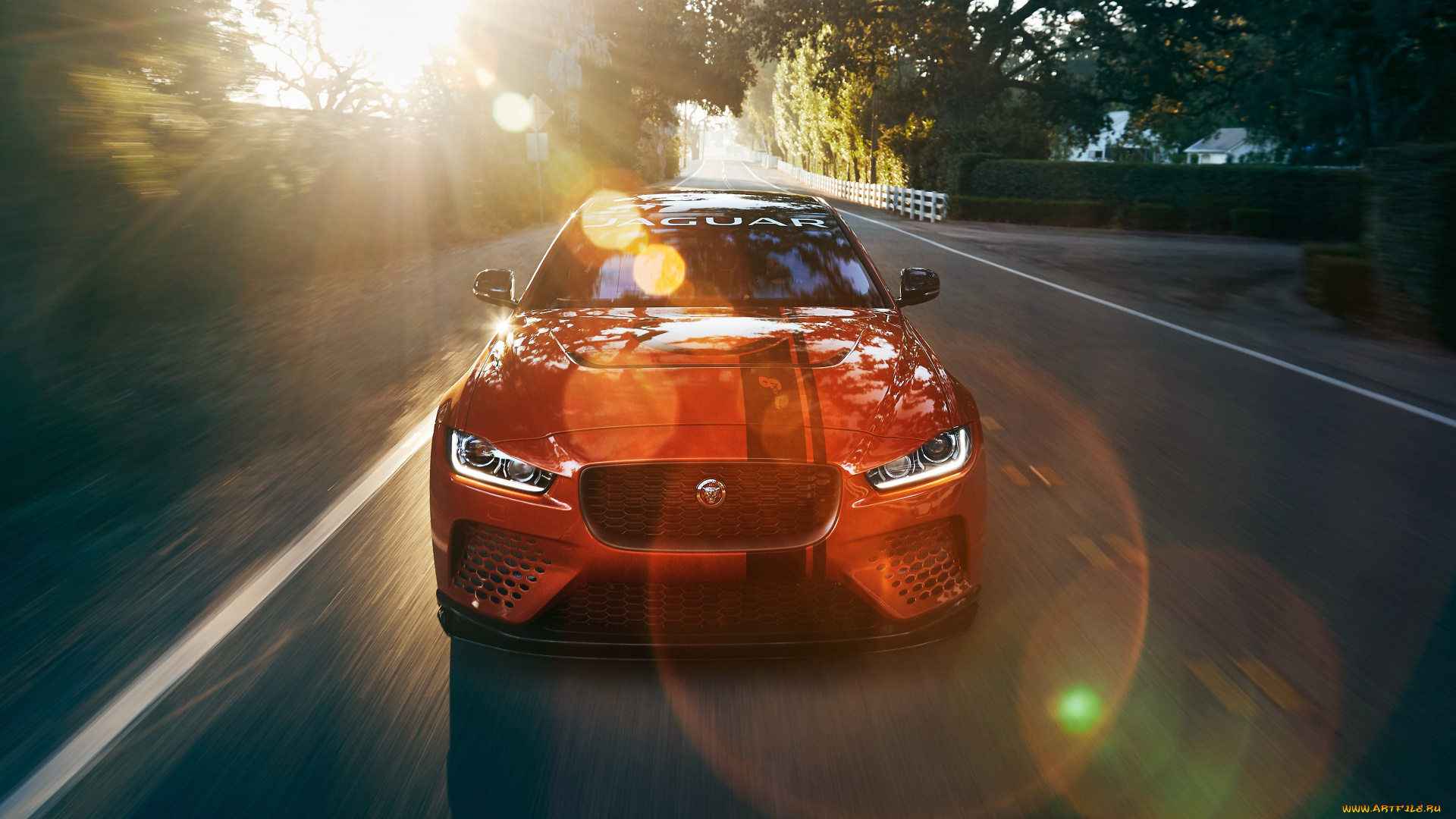 автомобили, jaguar, xe, sv, project, 8