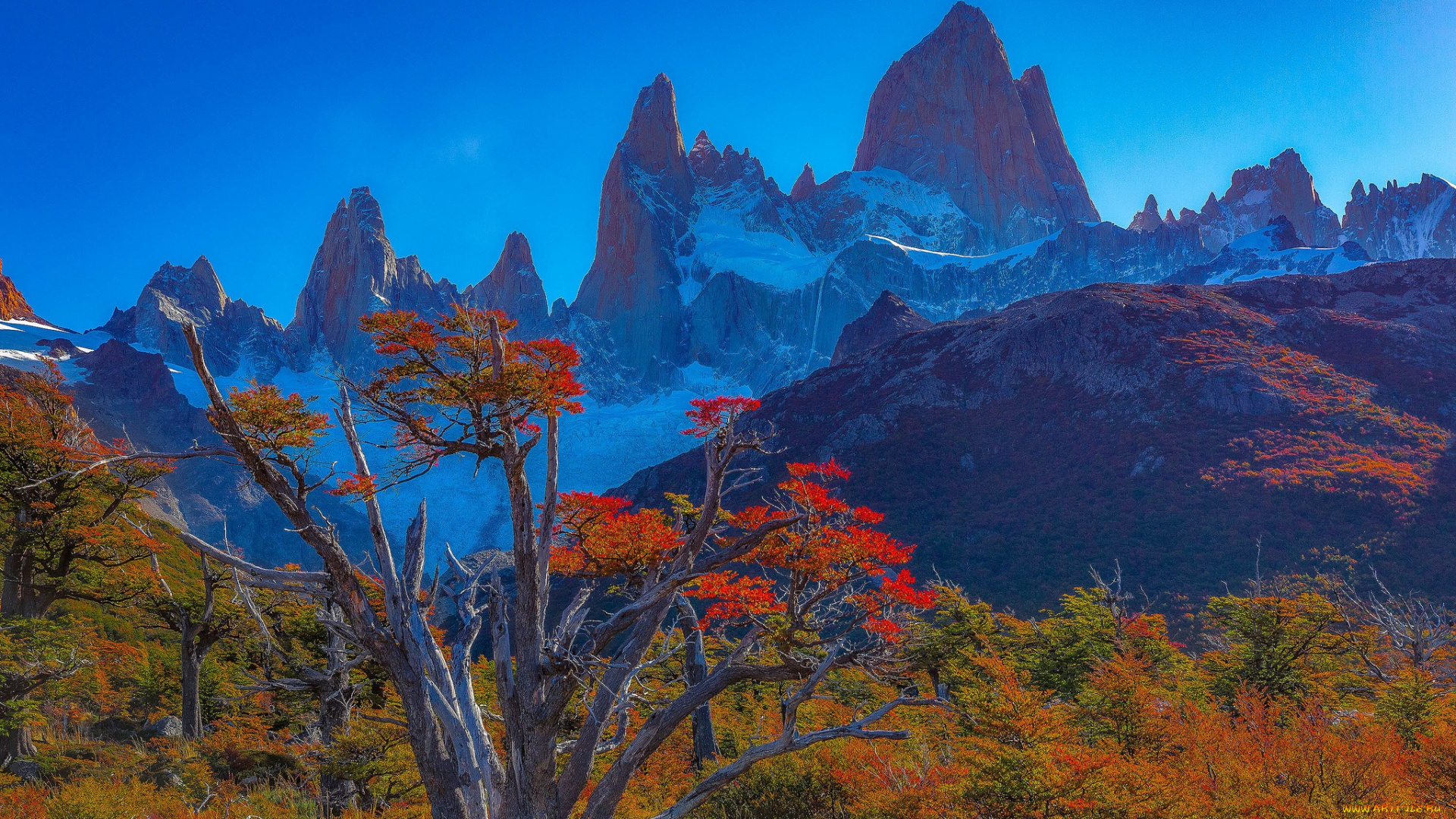 природа, горы, пик, деревья, осень, вершина