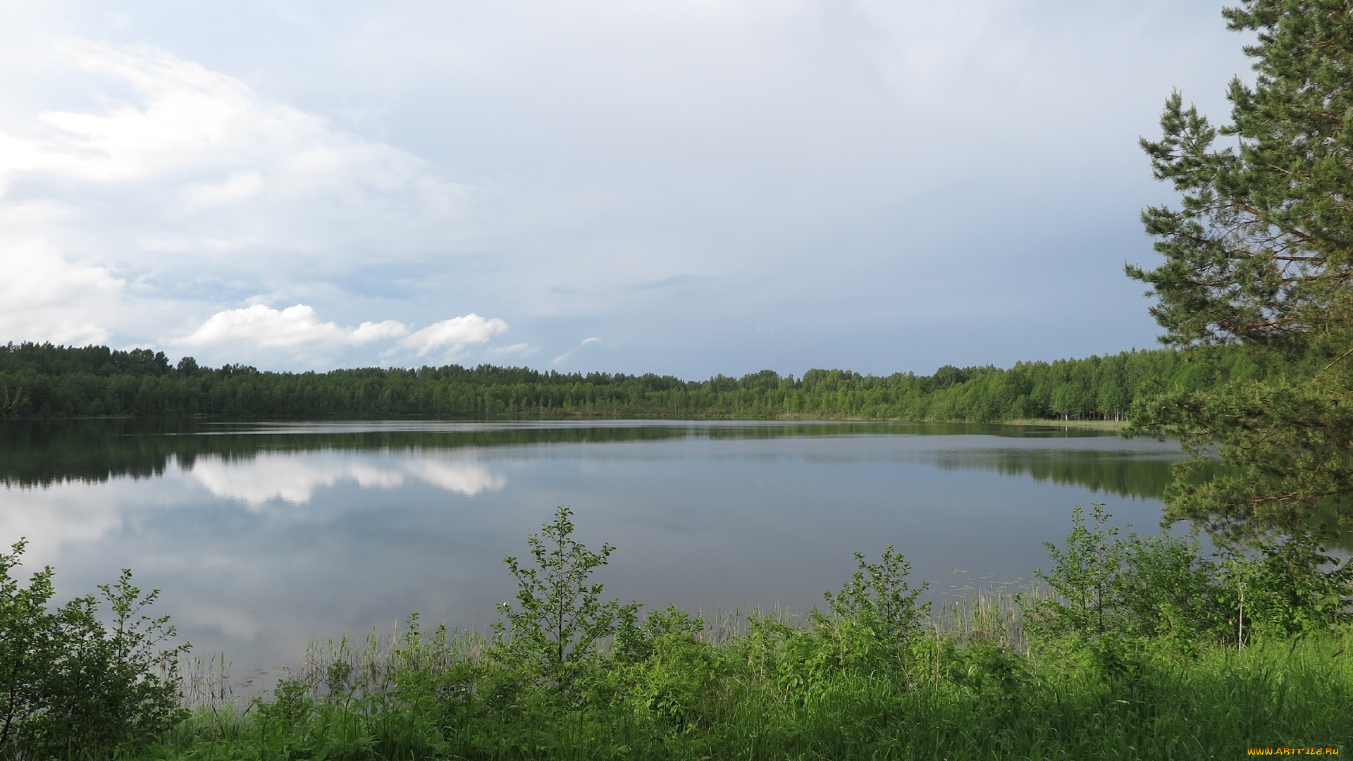 природа, реки, озера, деревья, река