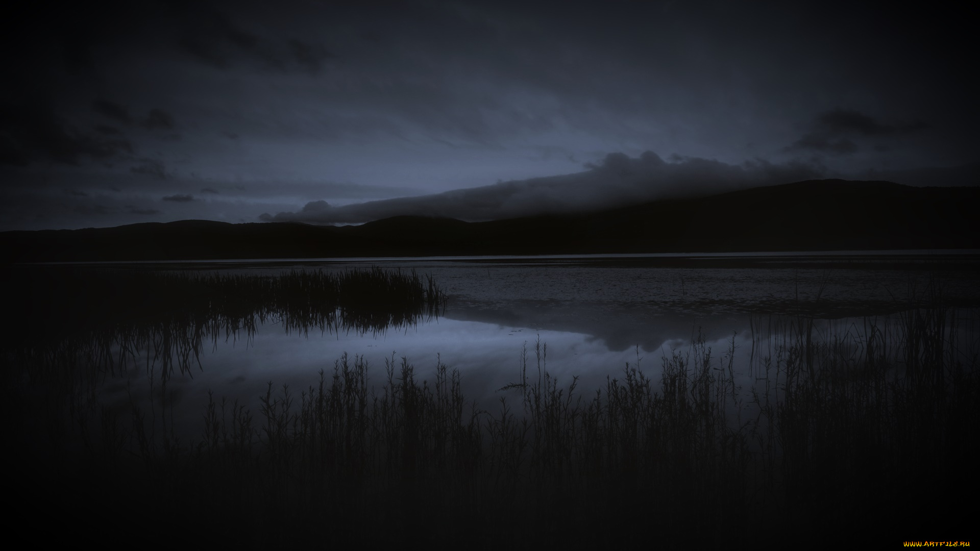 природа, реки, озера, холмы, река