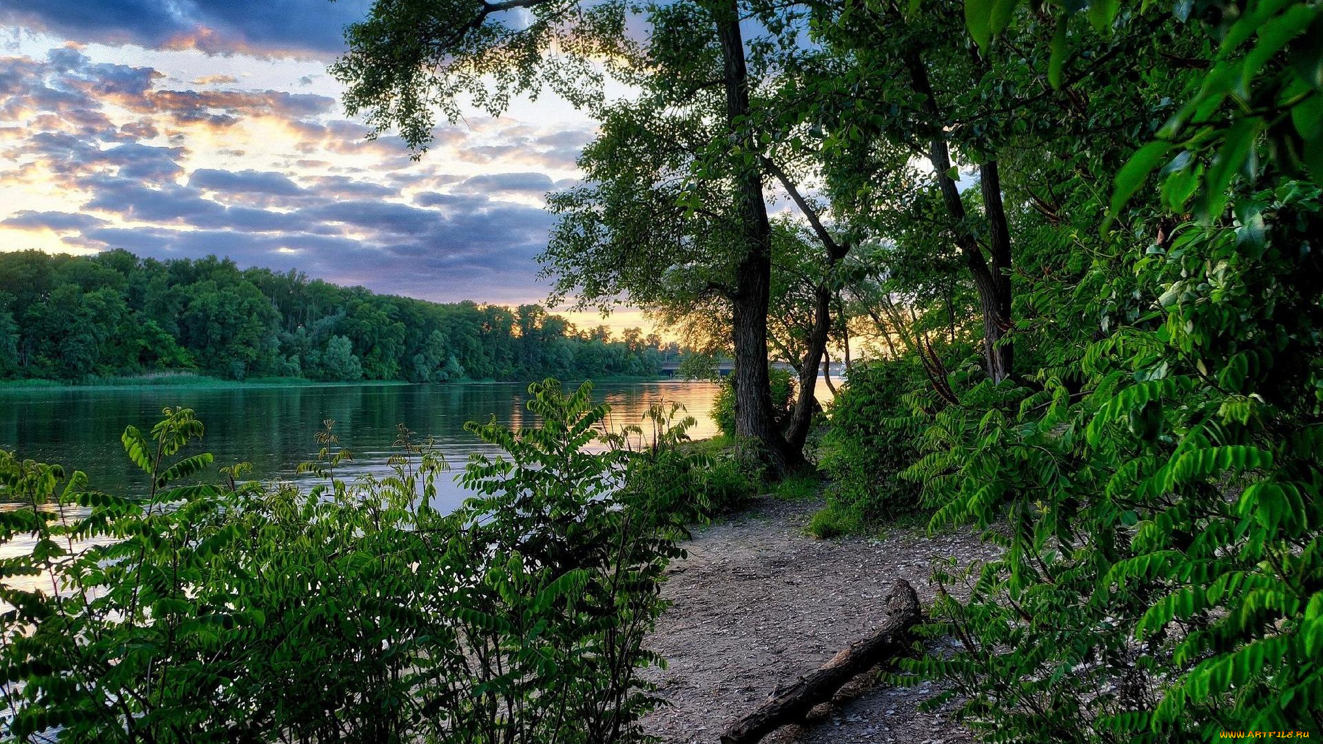 природа, реки, озера, украина, закат, днепр, заводь, киев