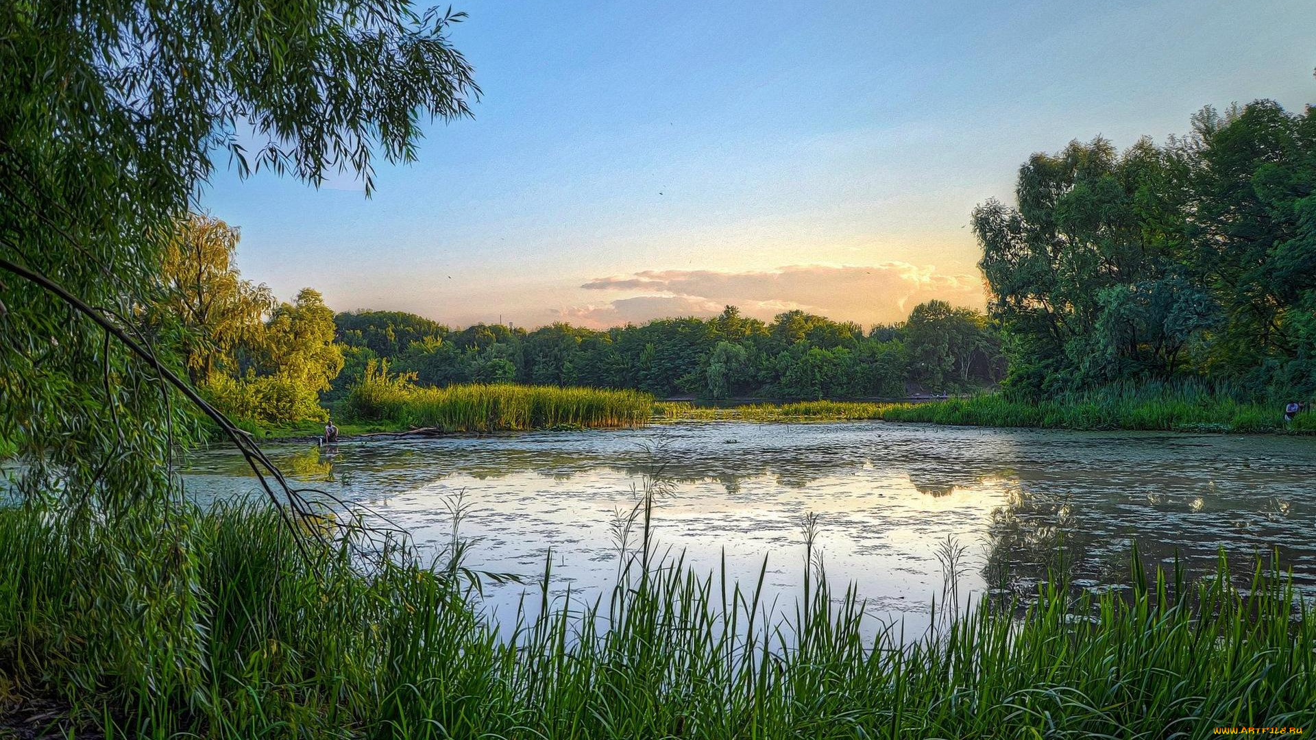 природа, реки, озера, заводь, киев, днепр, закат, украина