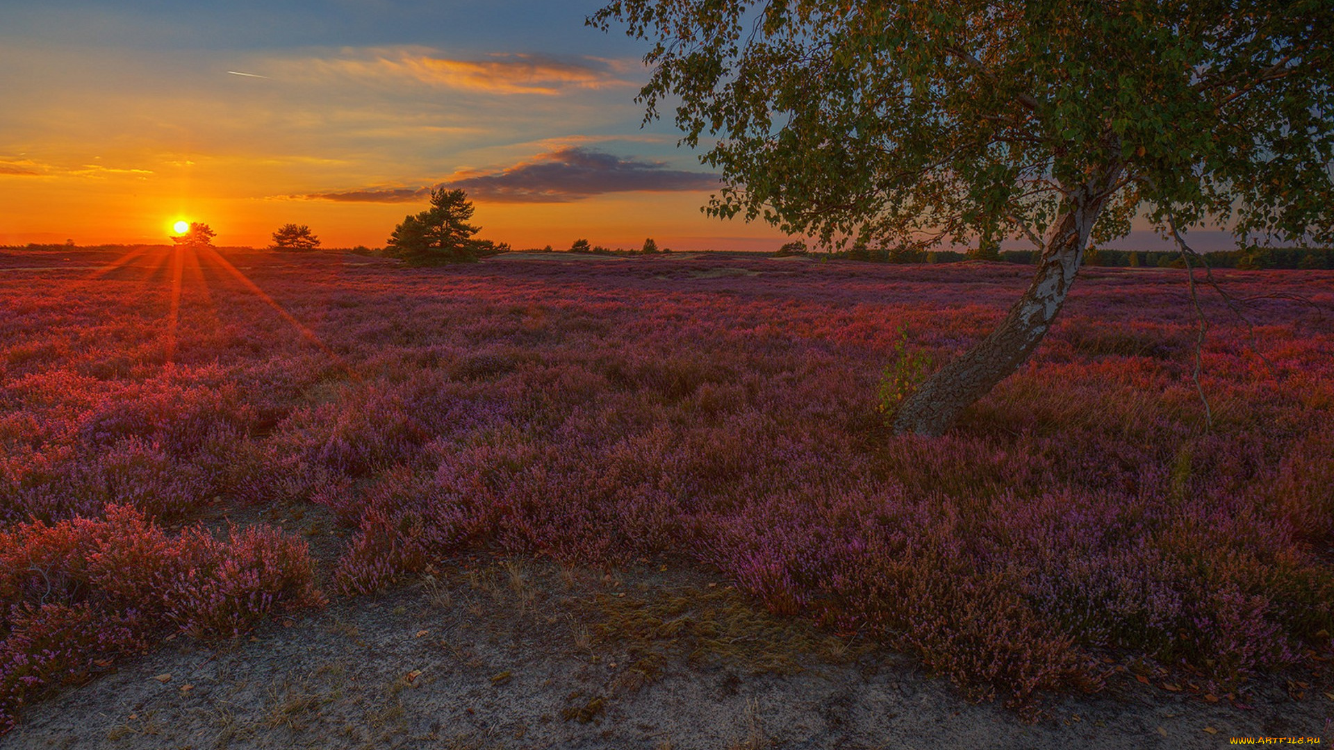 природа, восходы, закаты, простор