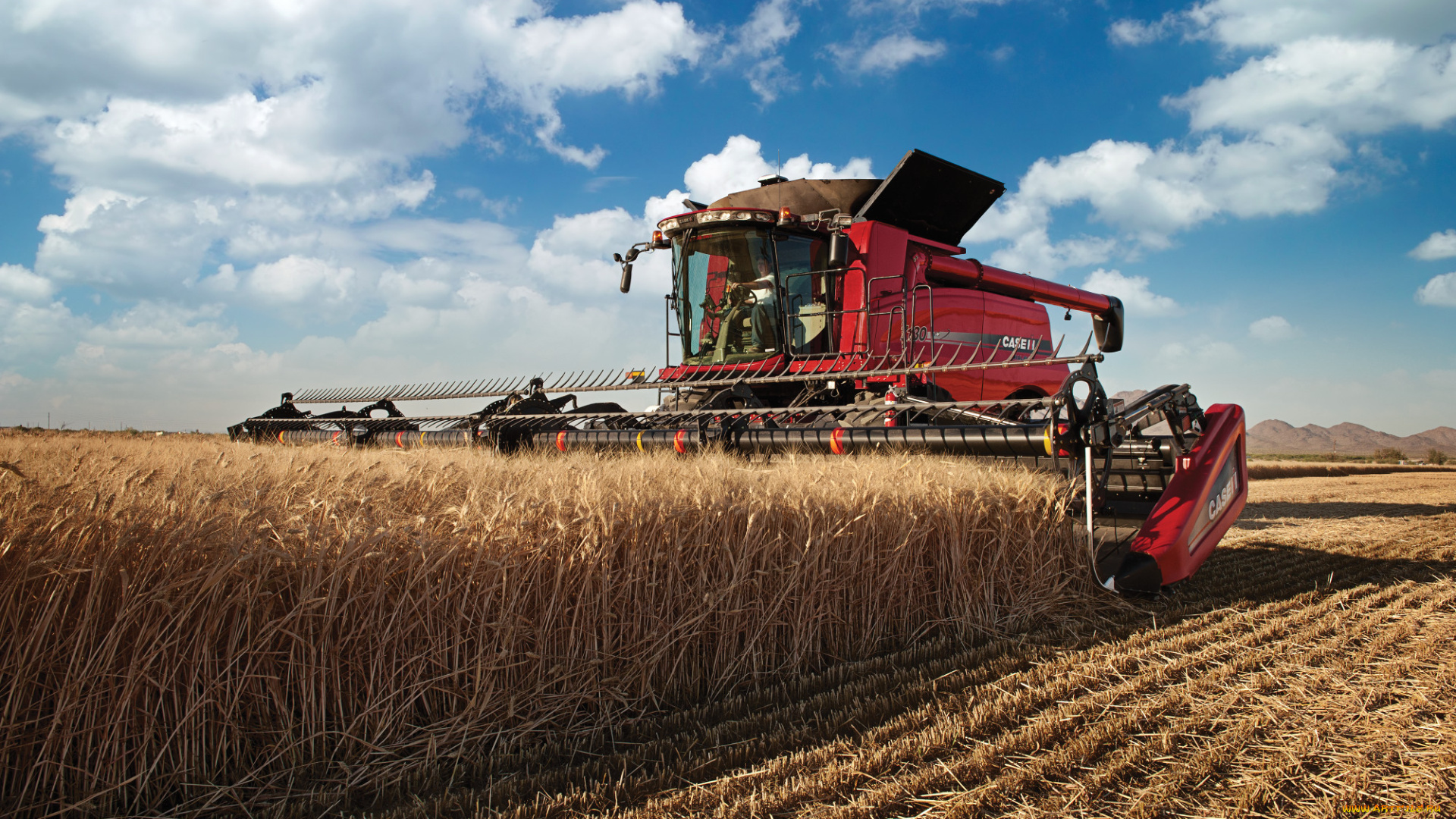 техника, комбайны, case