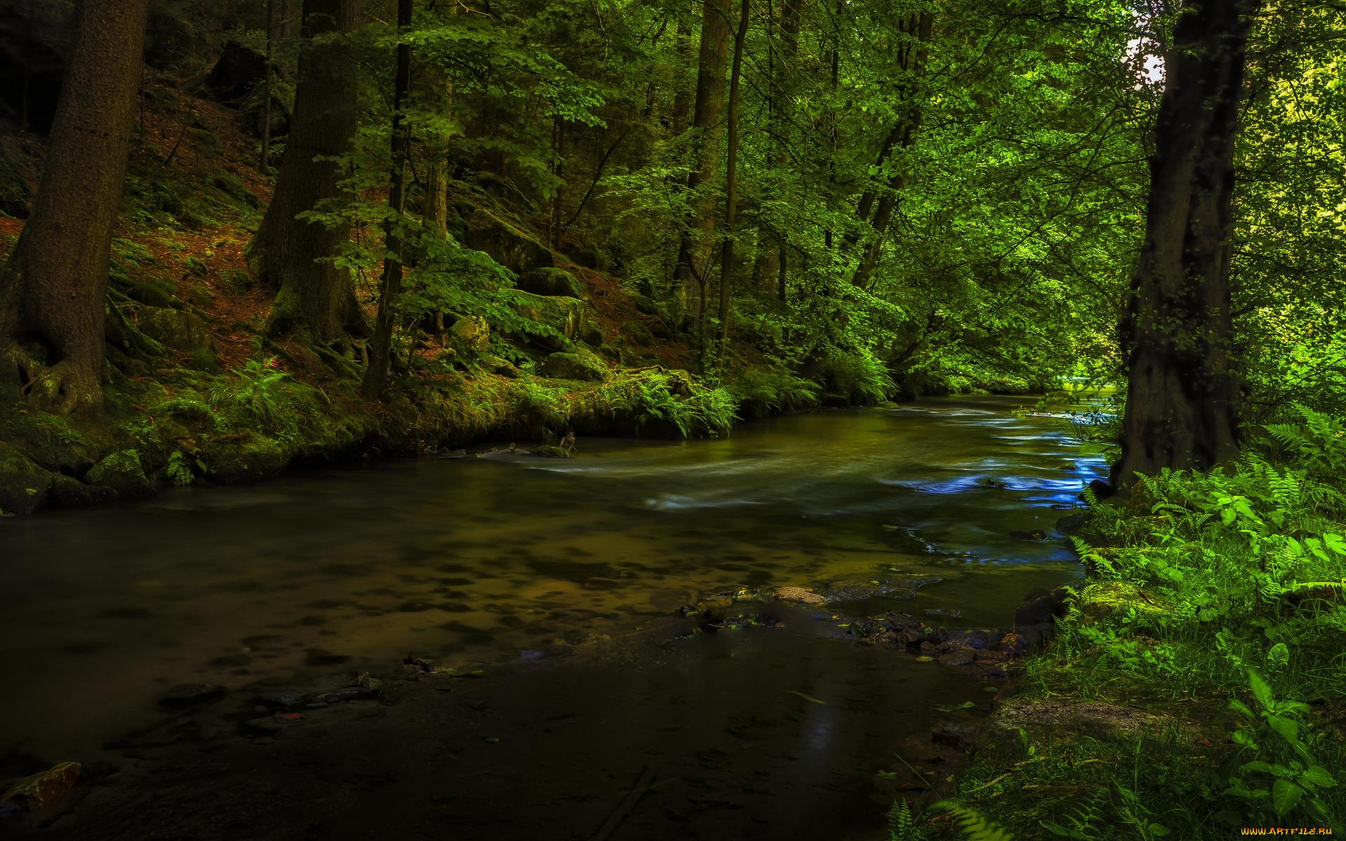 природа, реки, озера, деревья, лес, река