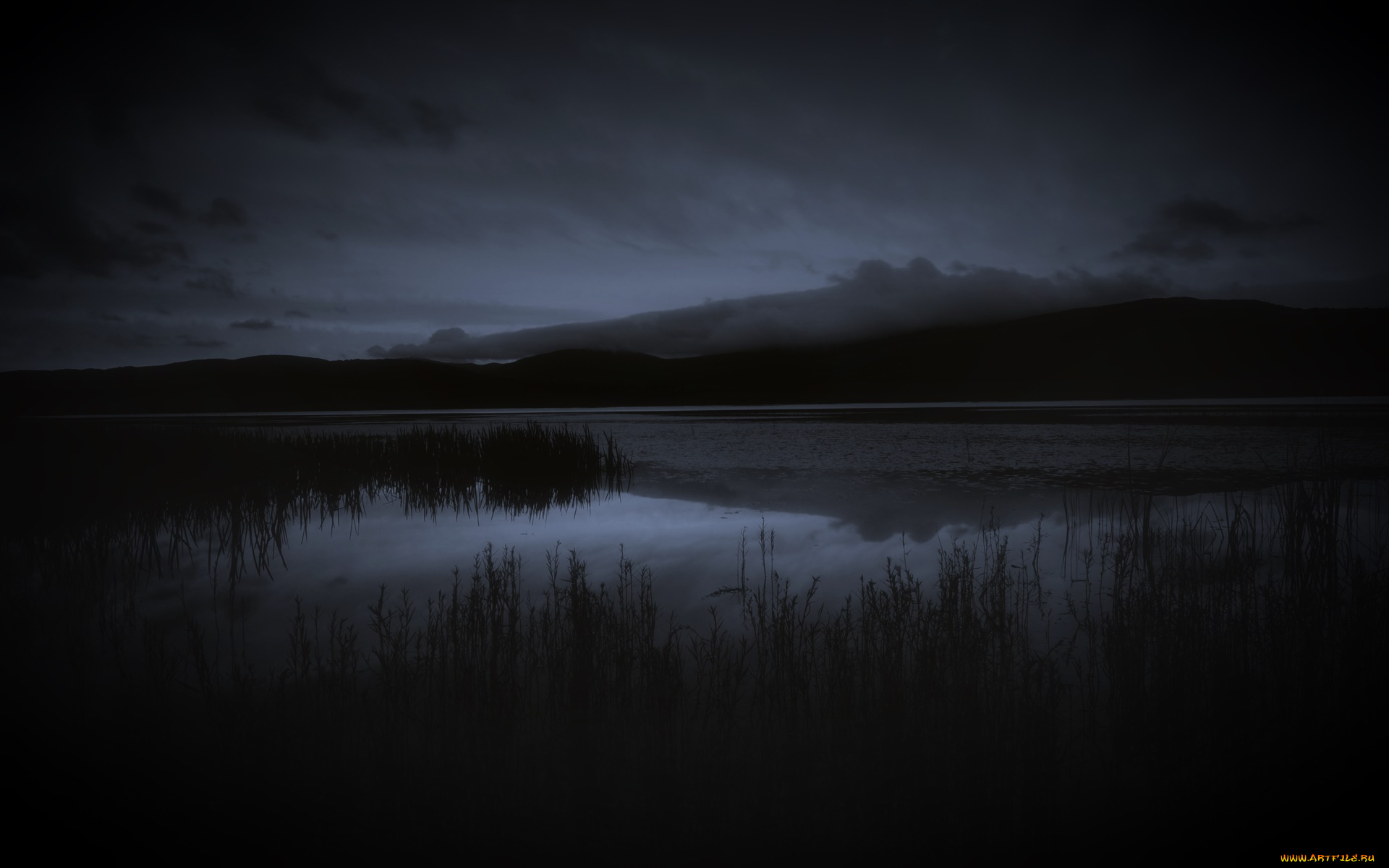 природа, реки, озера, холмы, река