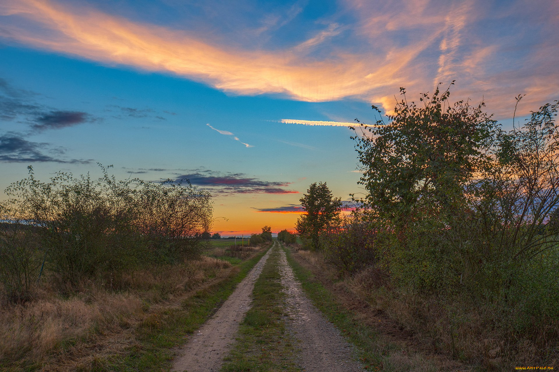 природа, дороги, простор