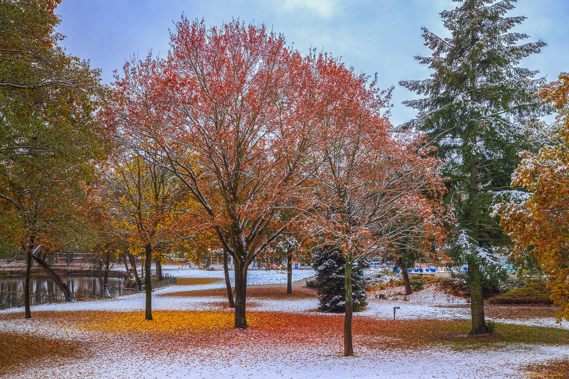 природа, парк, простор