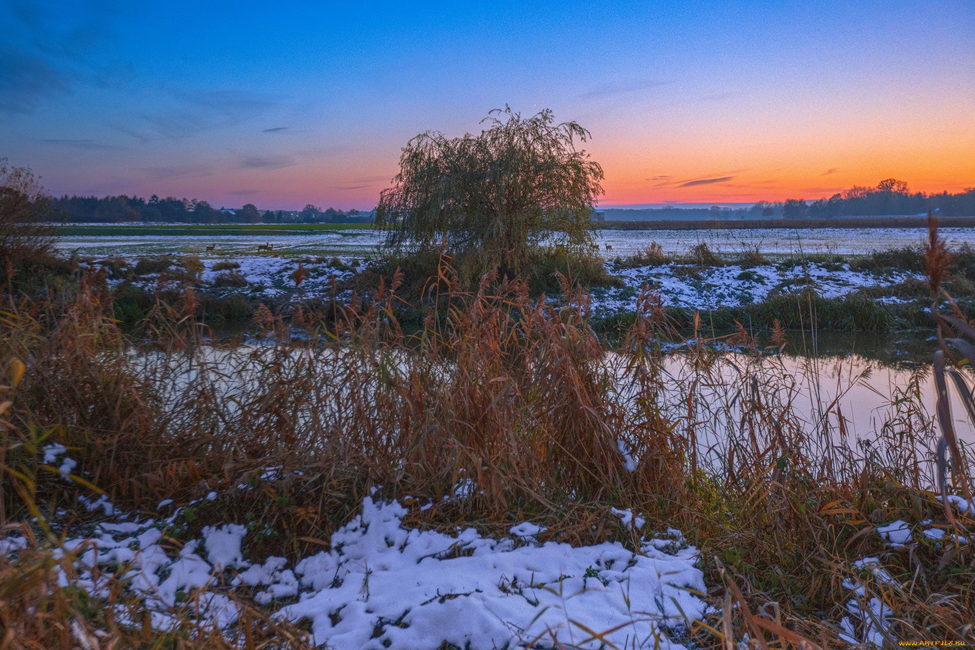 природа, пейзажи, простор