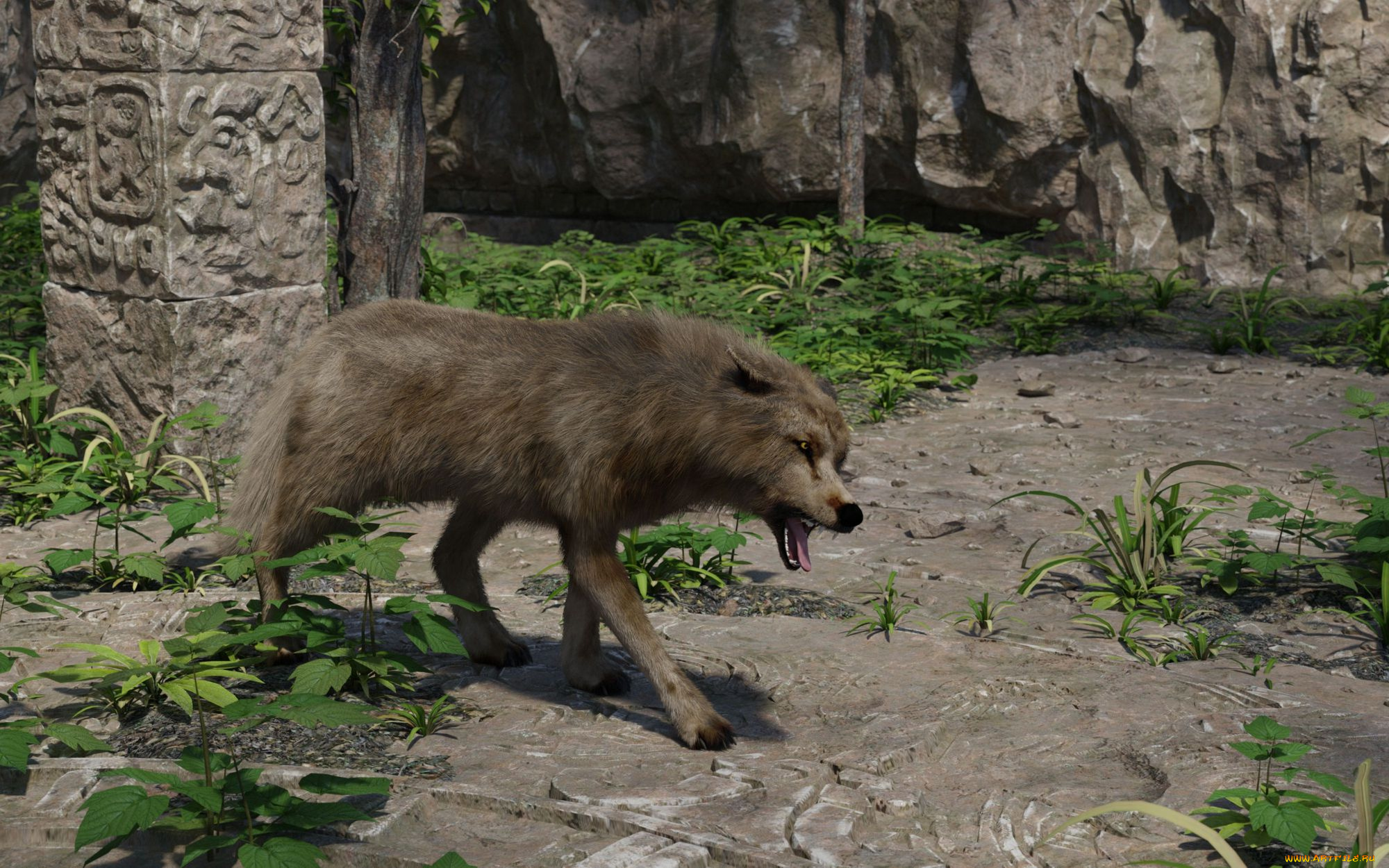 3д, графика, животные, , animals, волк, фон