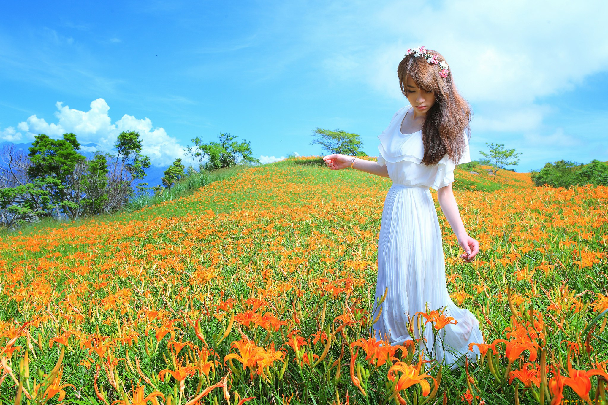 patty, lai, девушки, -unsort, , азиатки, patty, lai, азиатка, поле, цветы, венок, лилии, платье