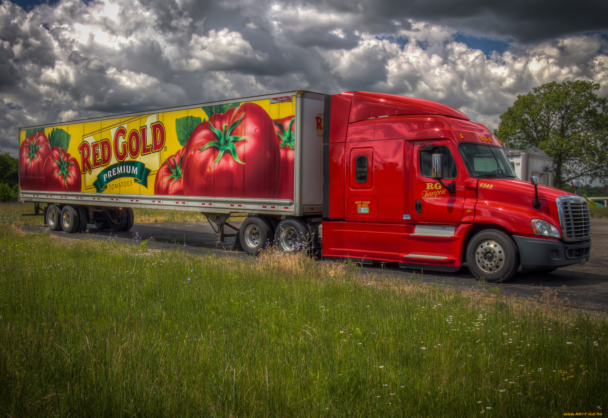 автомобили, freightliner, грузовик