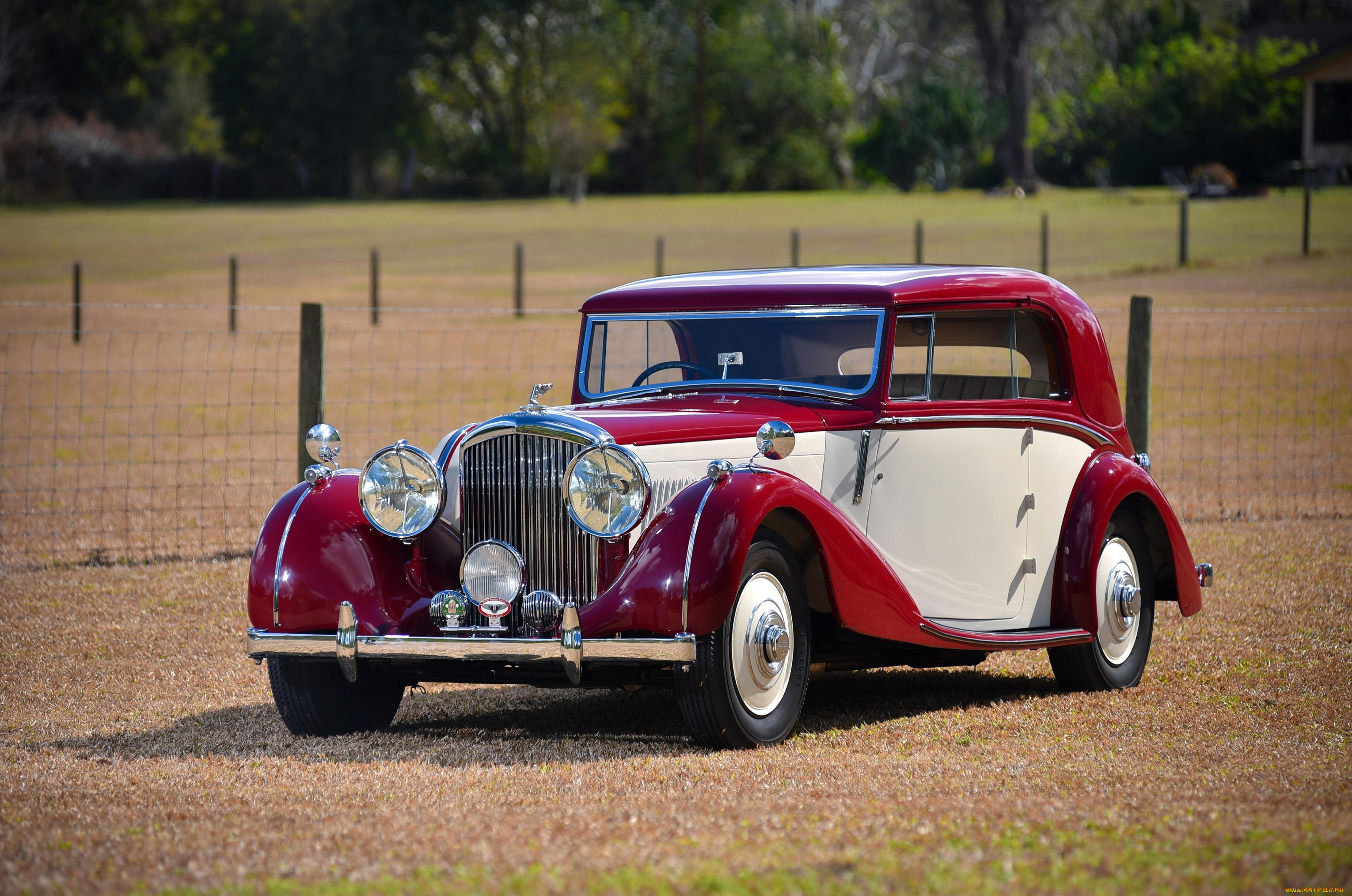 автомобили, классика, красный, автомобиль, изгородь, деревья, трава, белый