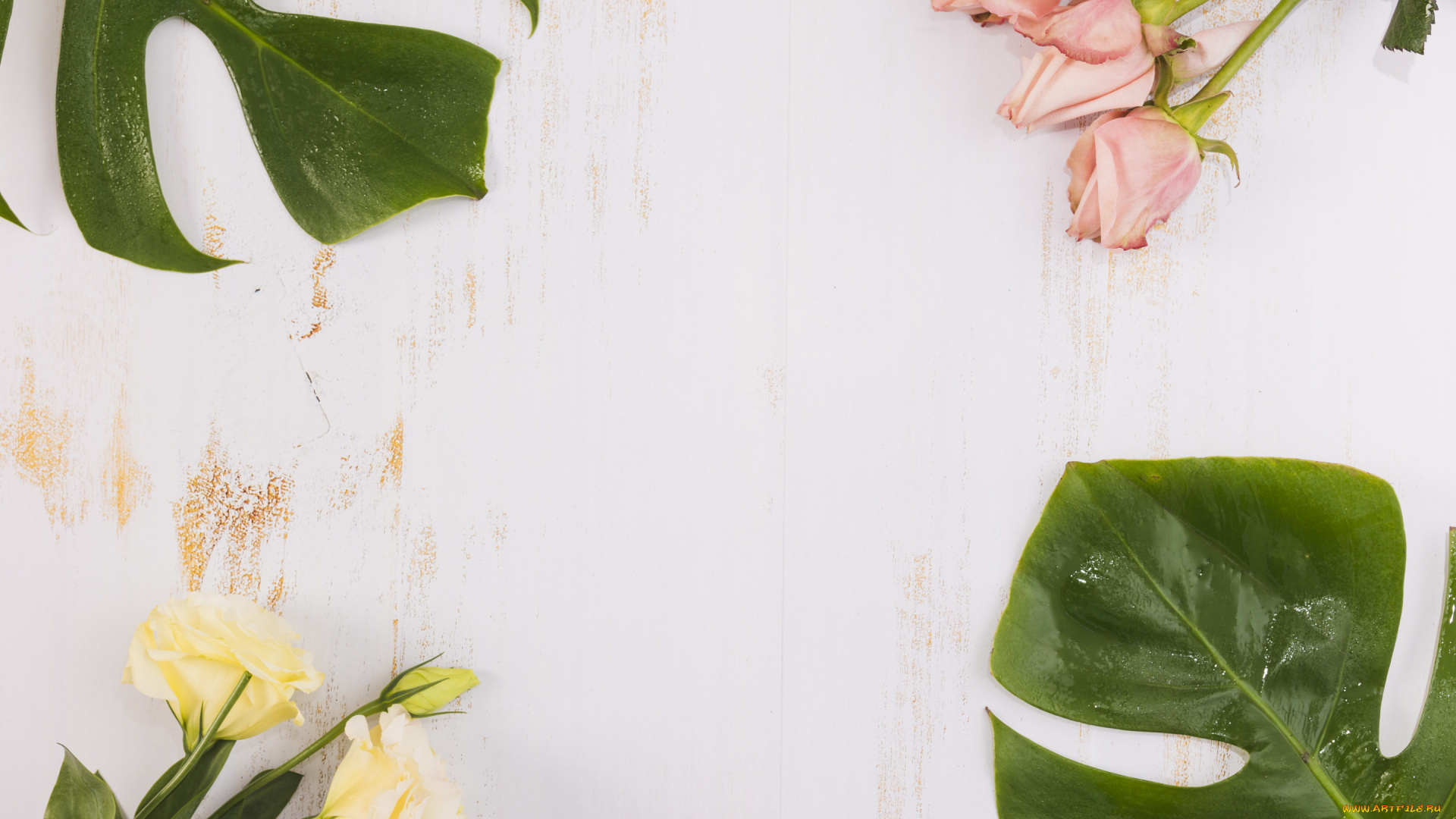 цветы, разные, вместе, эустома, розы, листья