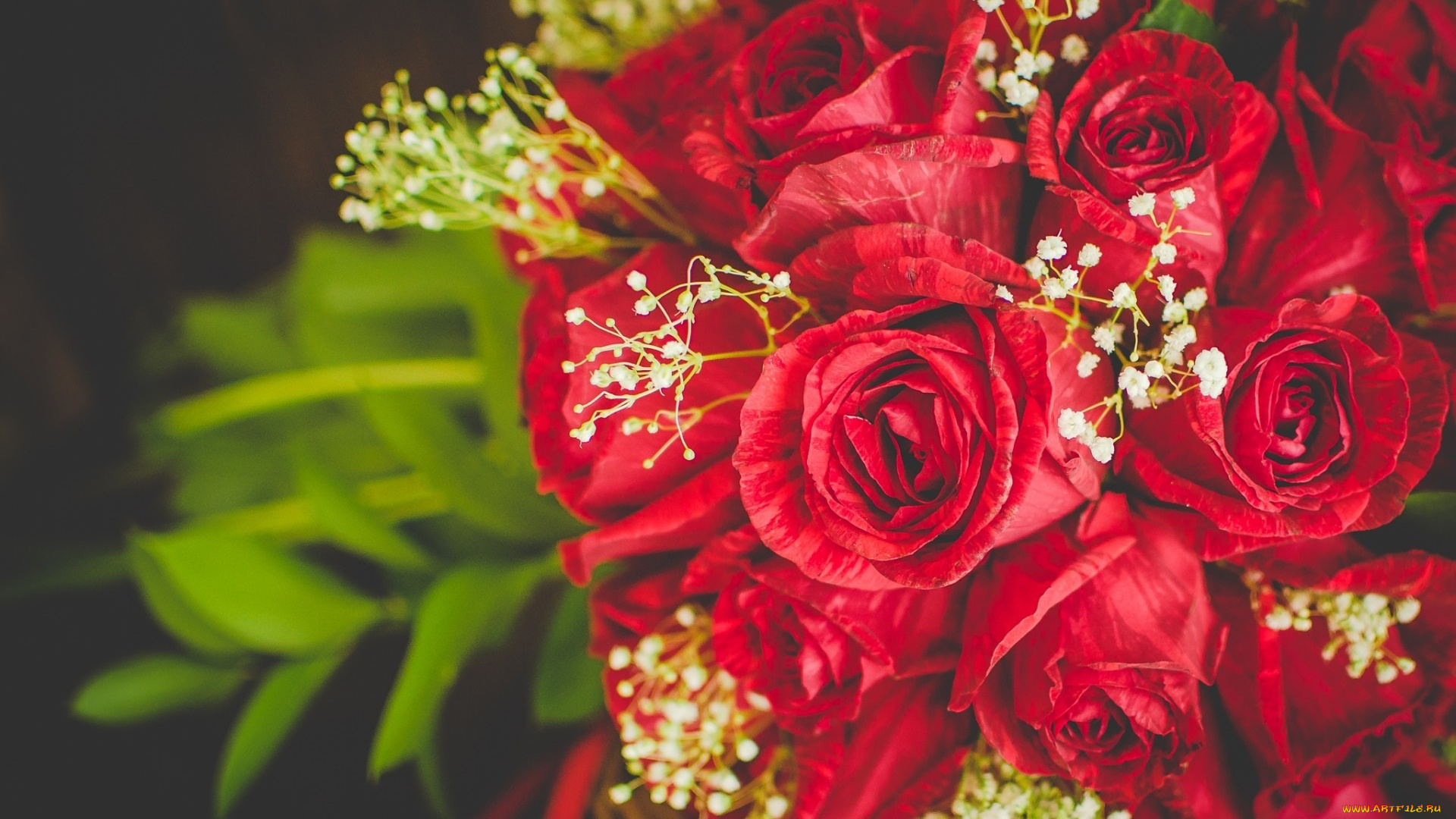 цветы, розы, букет
