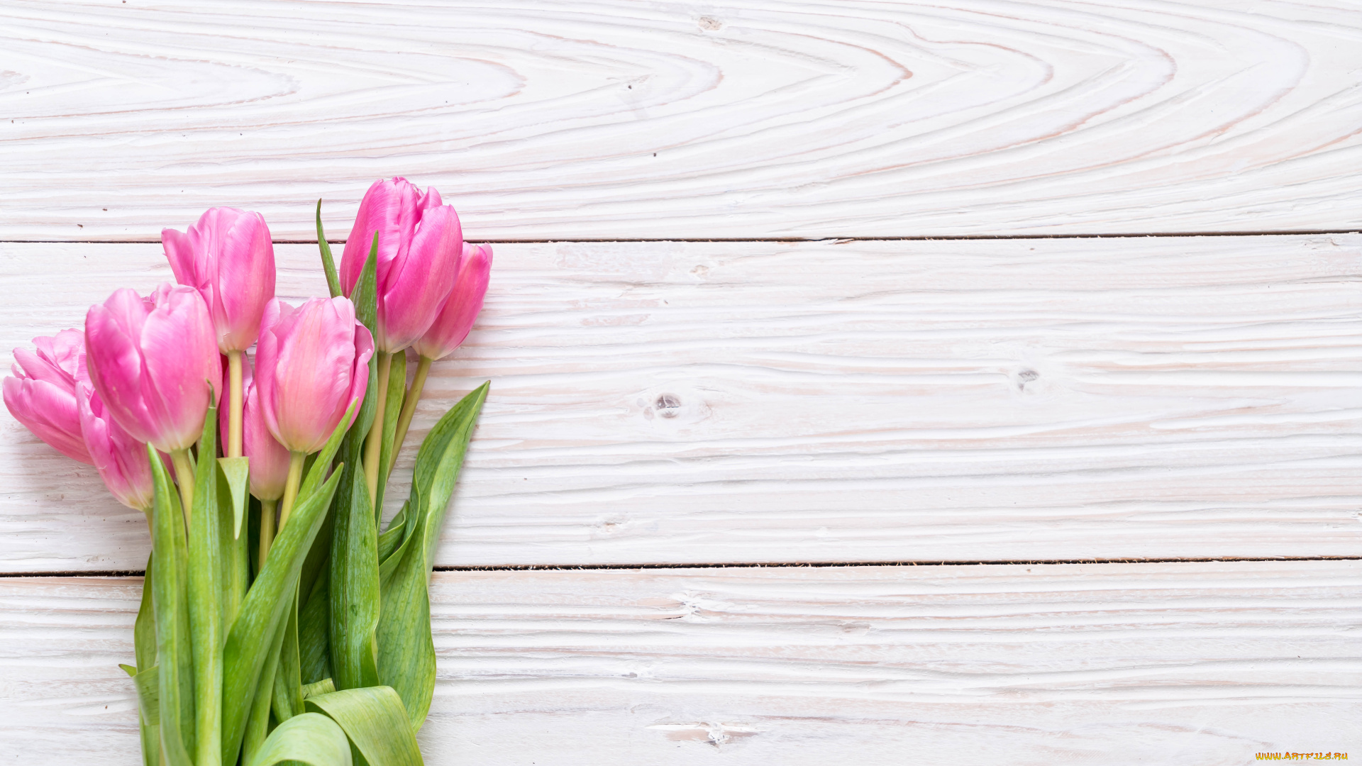 цветы, тюльпаны, букет, розовый, фон